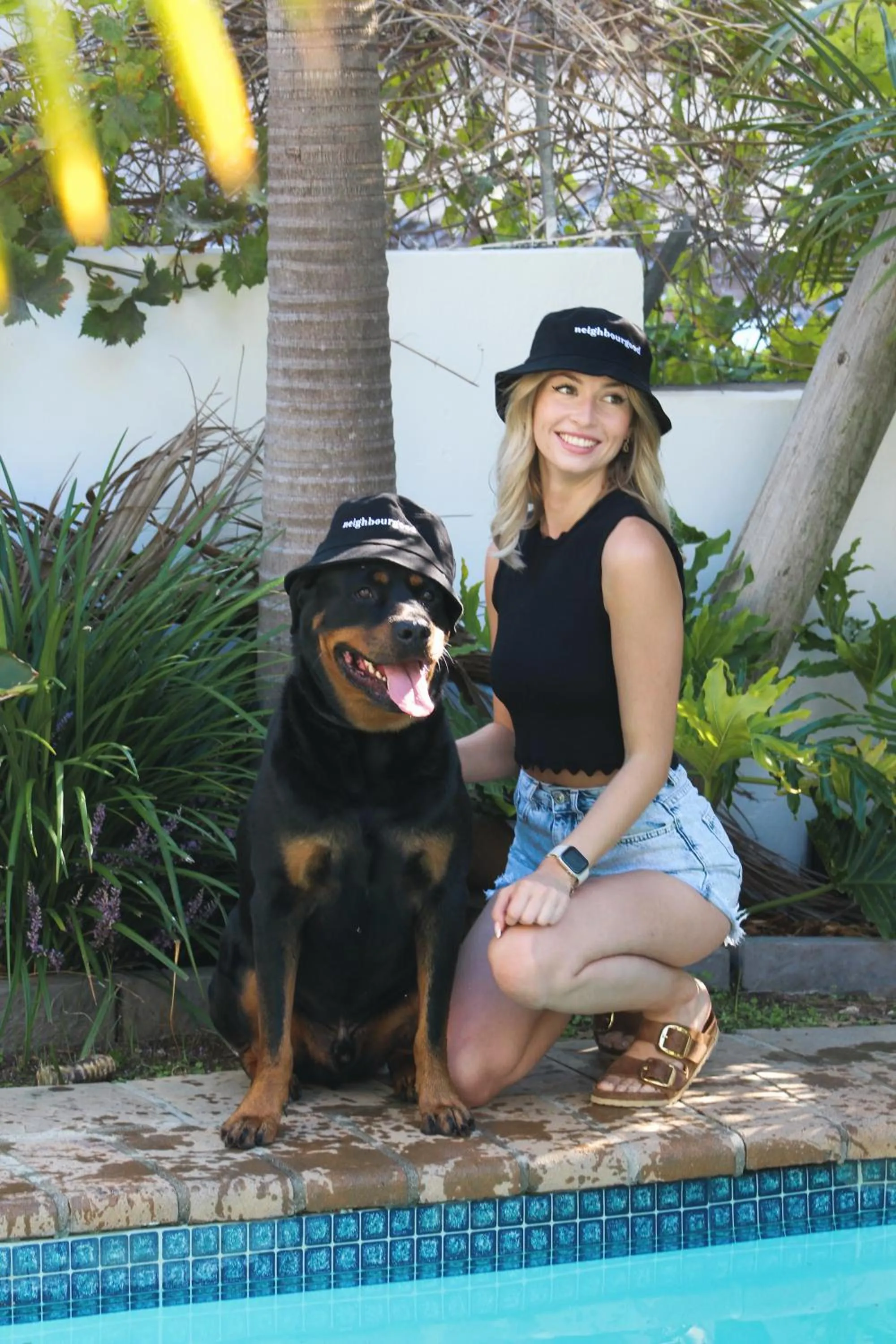 Pets in Neighbourgood Hill