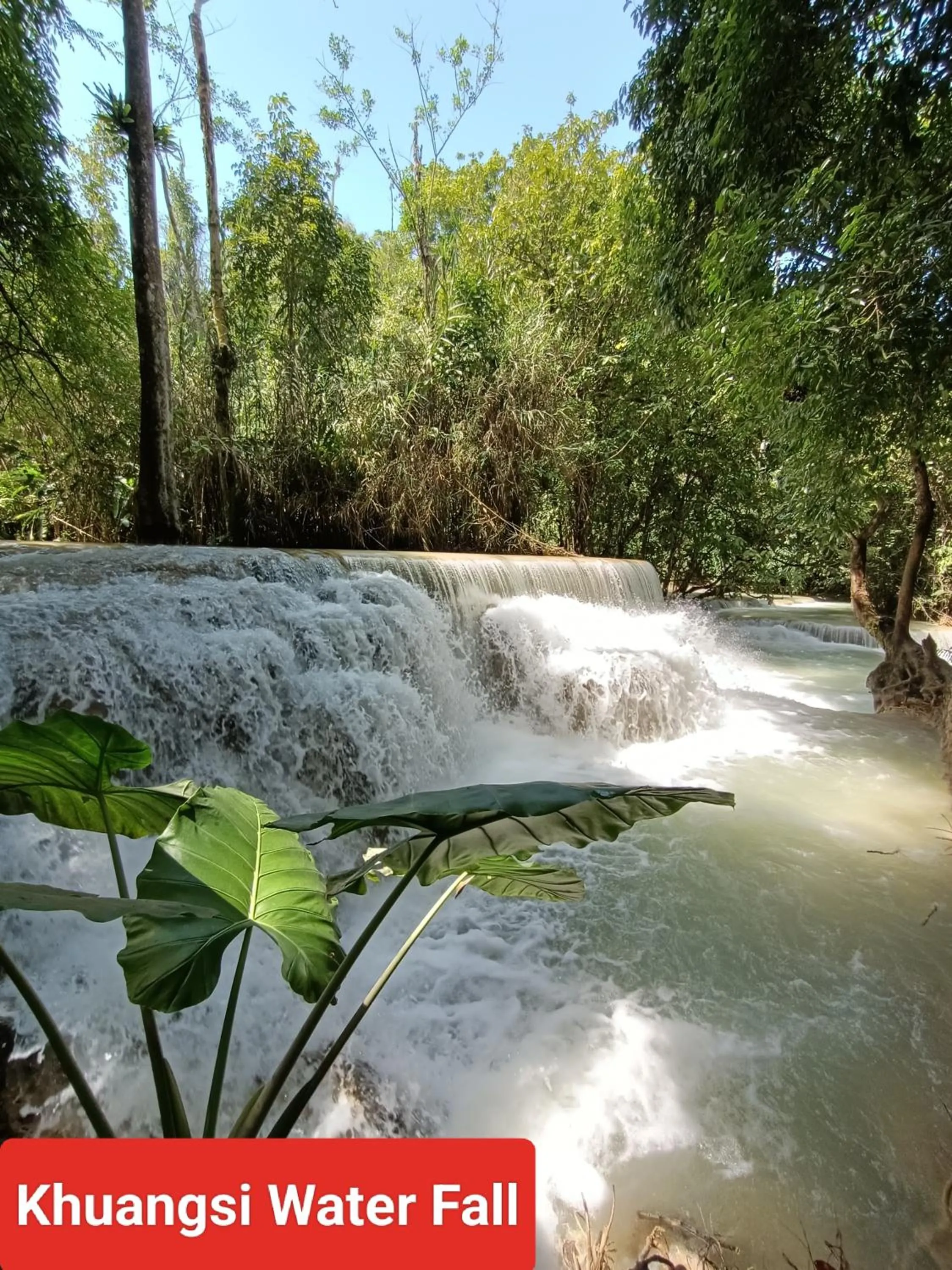Natural landscape in Mekong Chidlatda Villa