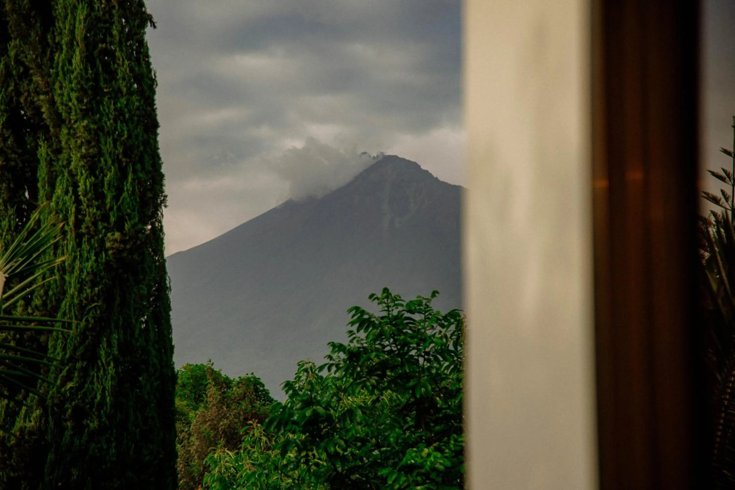 Natural landscape in Bamboo Village