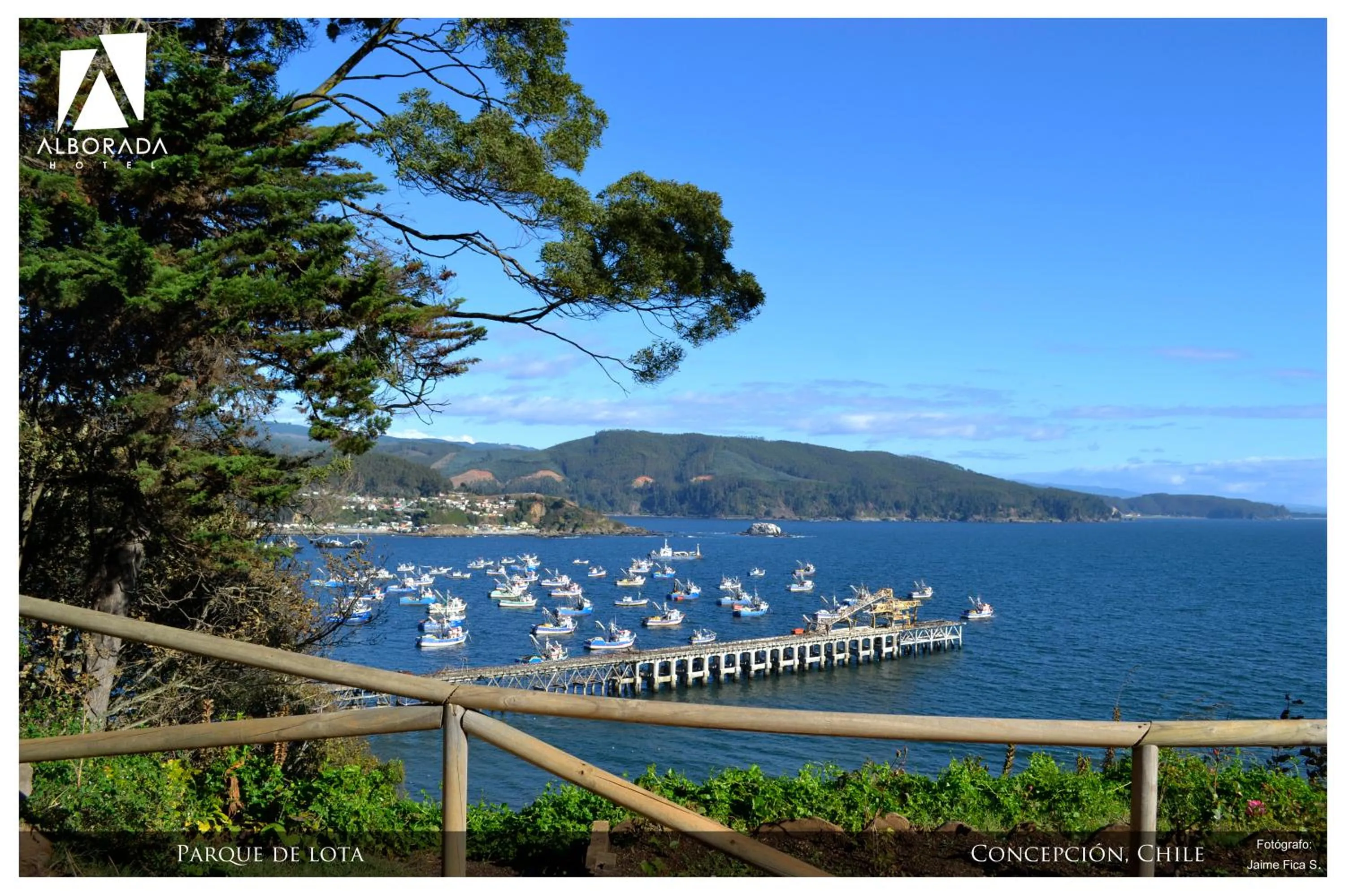 Natural landscape in Hotel Alborada