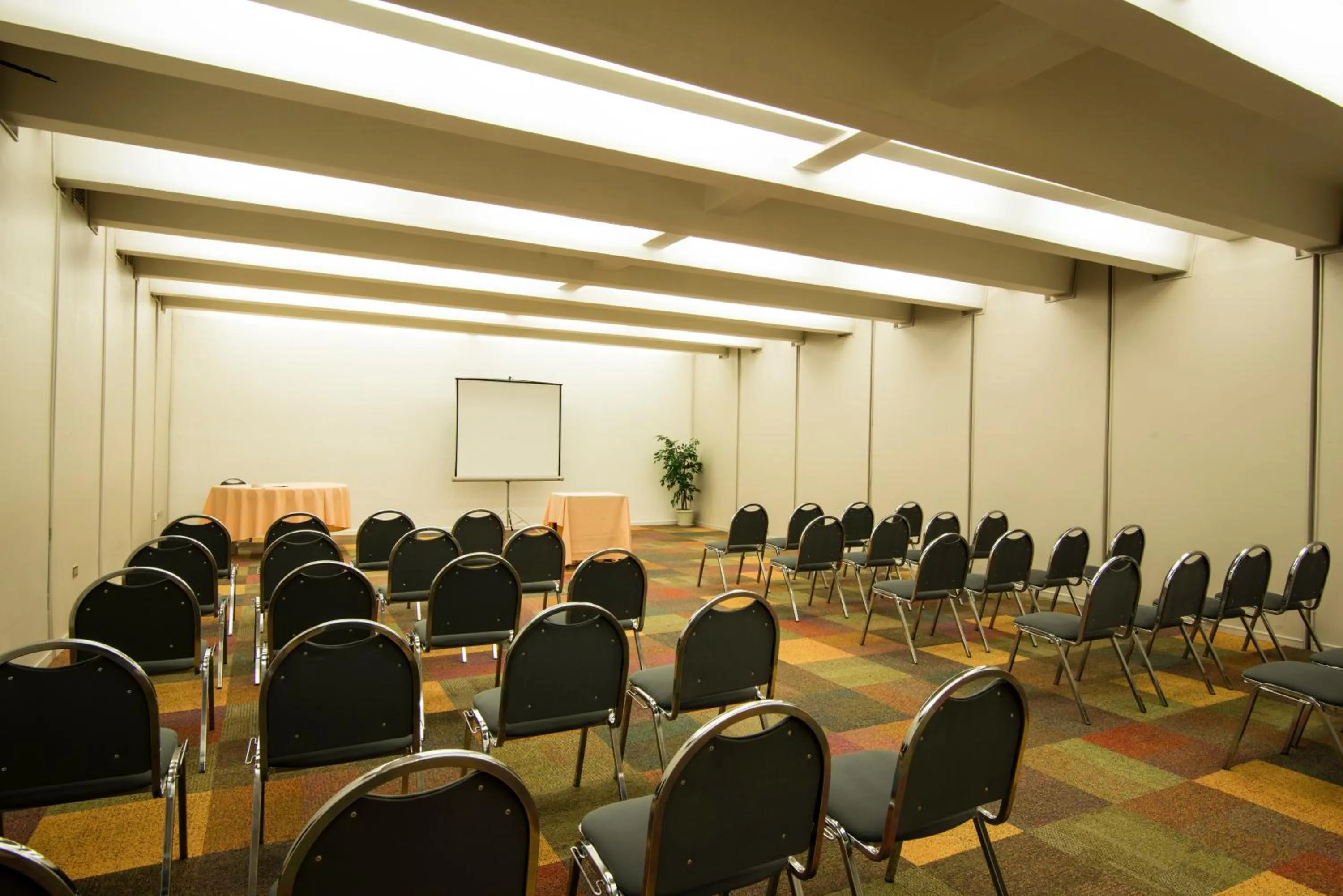 Business facilities in Hotel Alborada