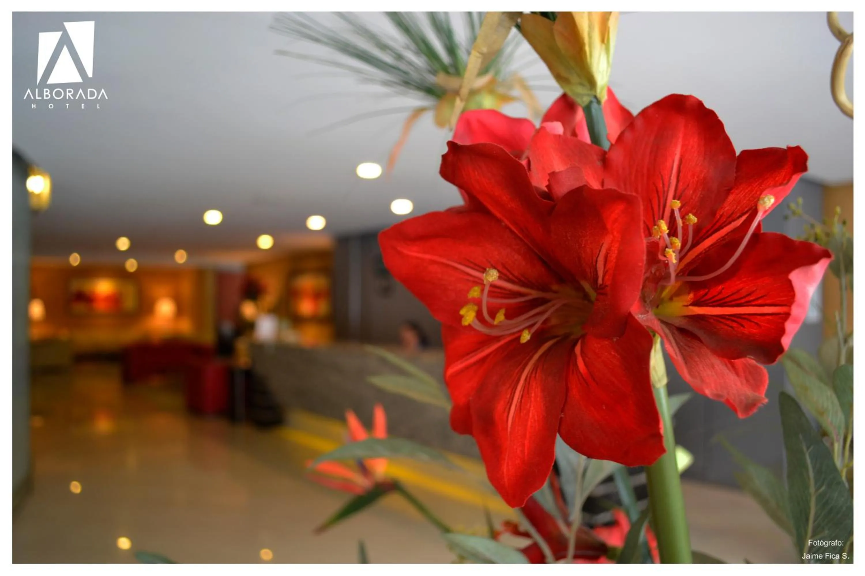 Lobby or reception in Hotel Alborada