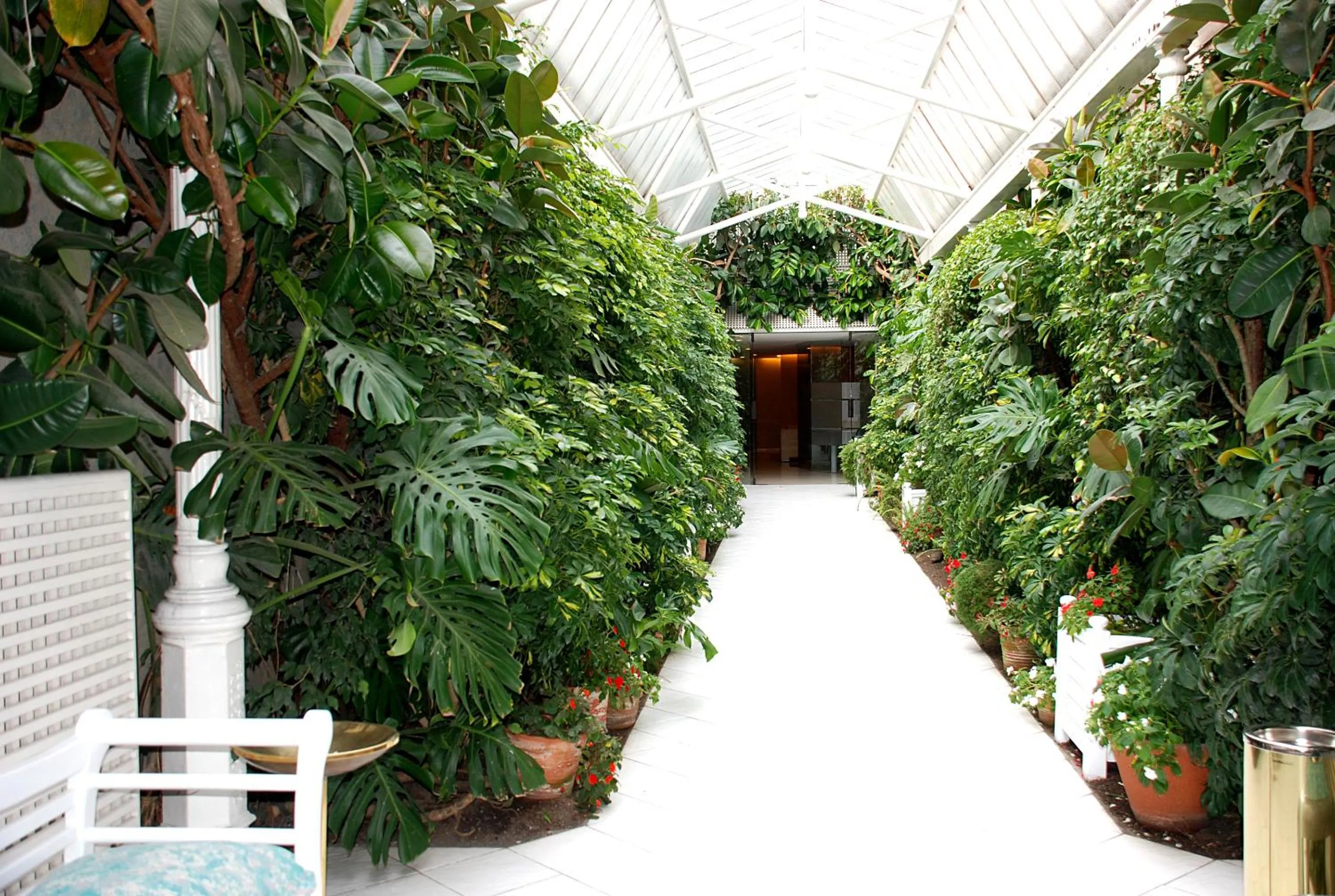 Garden in Hotel Alborada