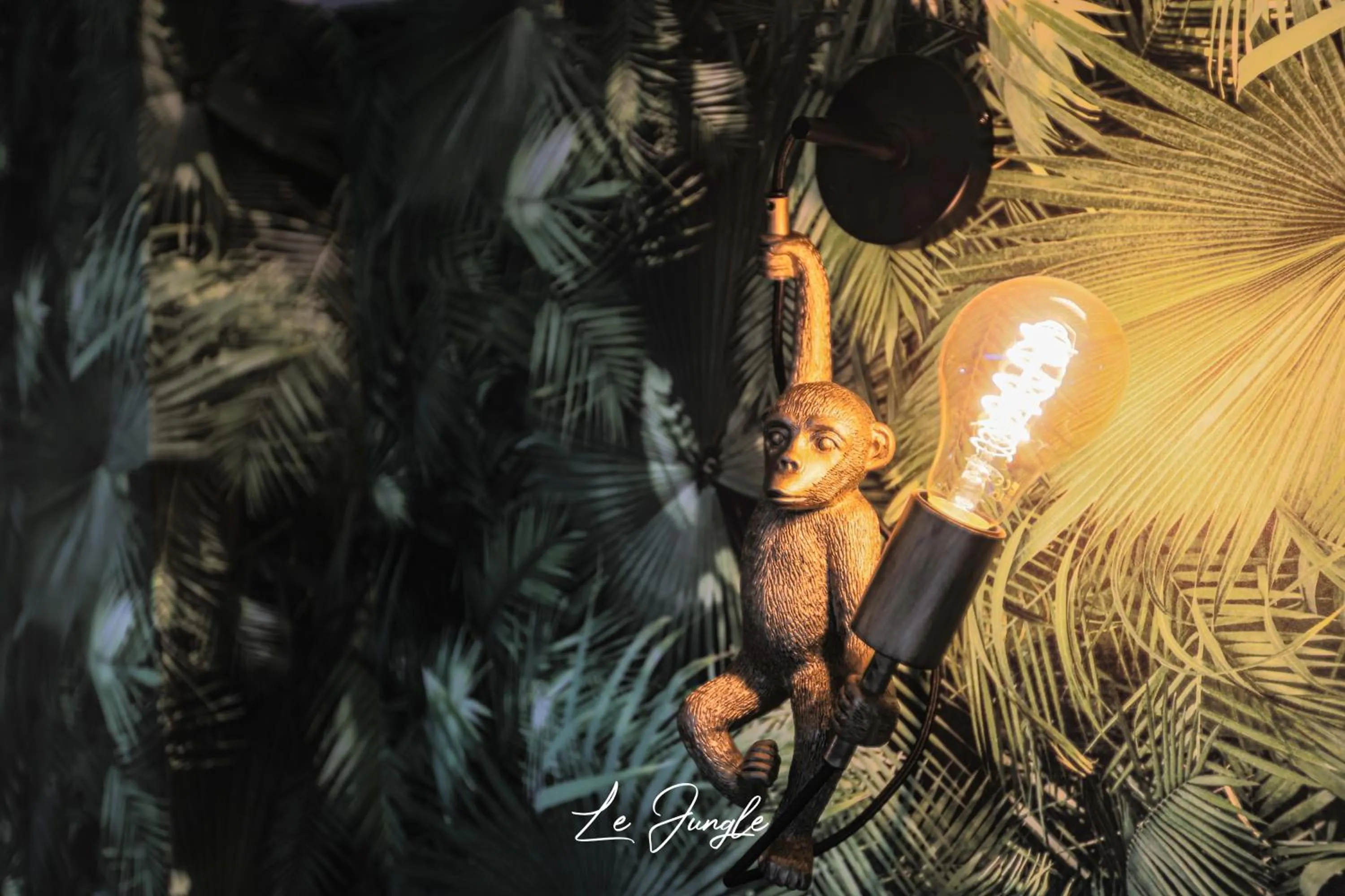 group of guests in LE JUNGLE 5 étoiles / Netflix et services