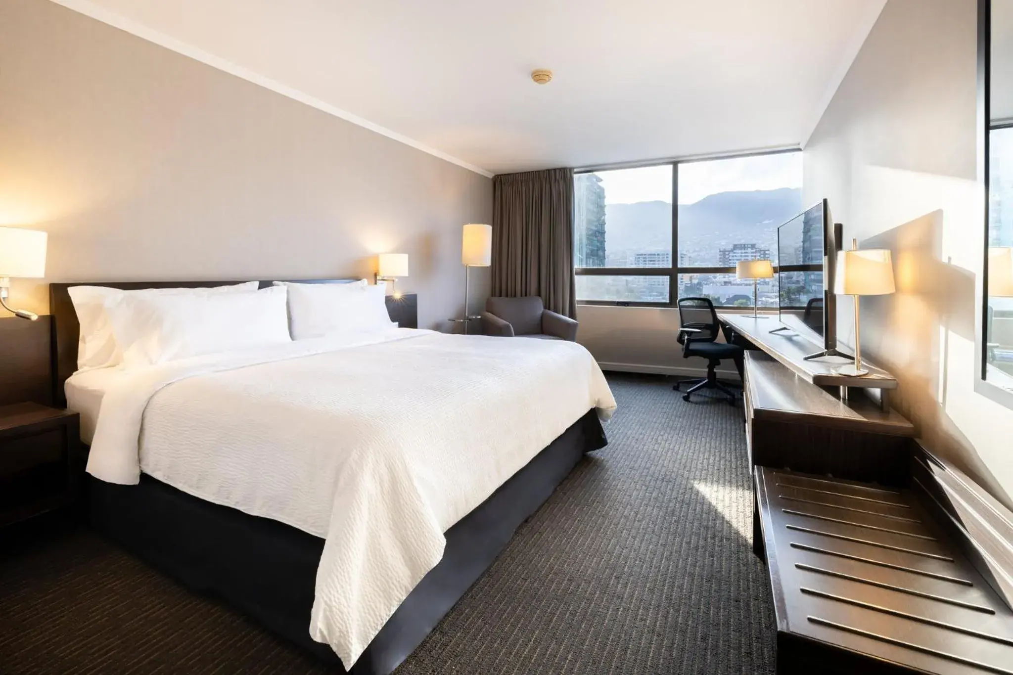 Standard King Room in Holiday Inn Express - Antofagasta by IHG Standard King Room in Holiday Inn Express - Antofagasta by IHG