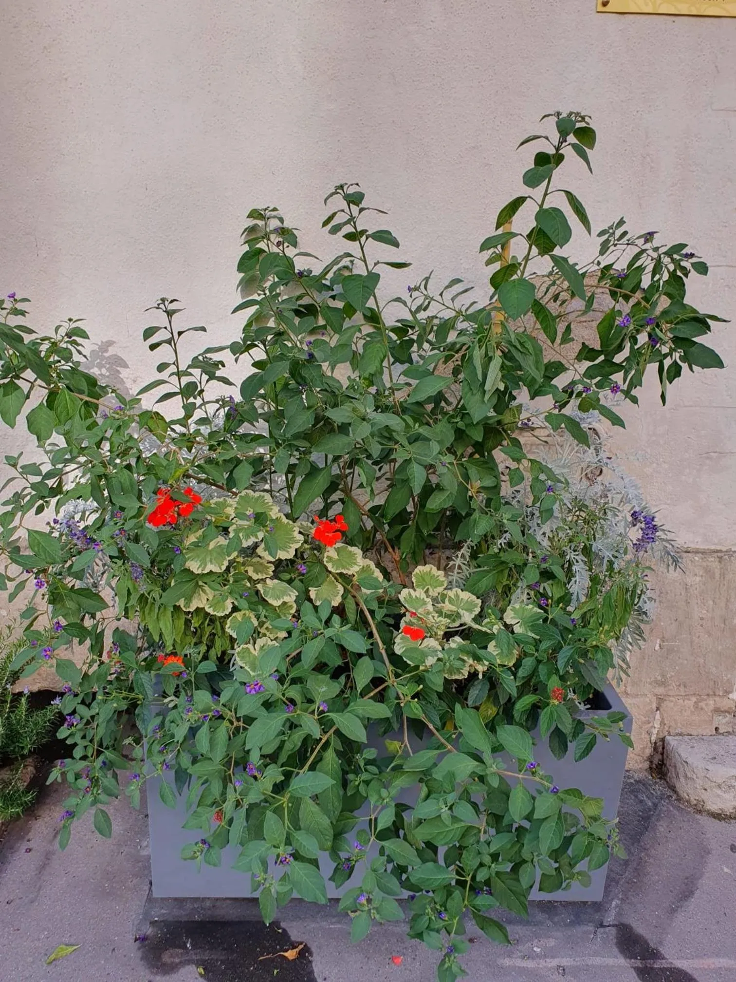 Spring in Quiétude au Bord de Loire.