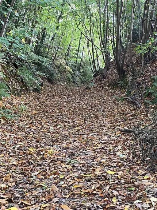 Coghurst Hall Holiday Home Sleeps 6, 2 bedrooms