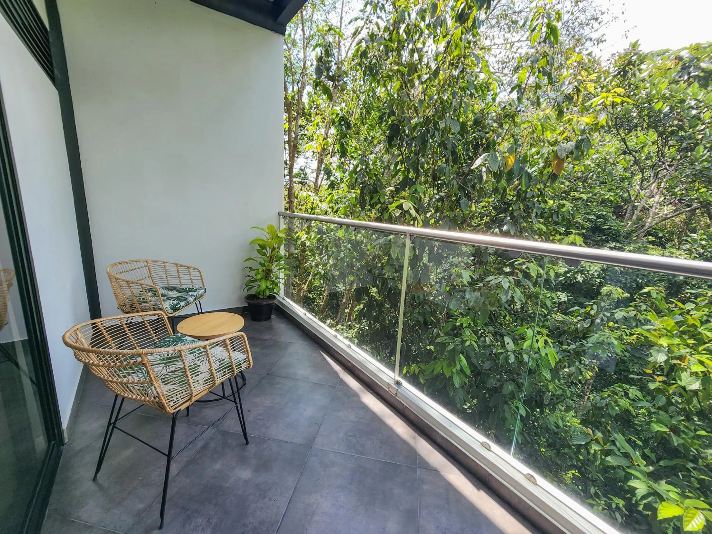 Natural landscape in Hotel Capri Doradal