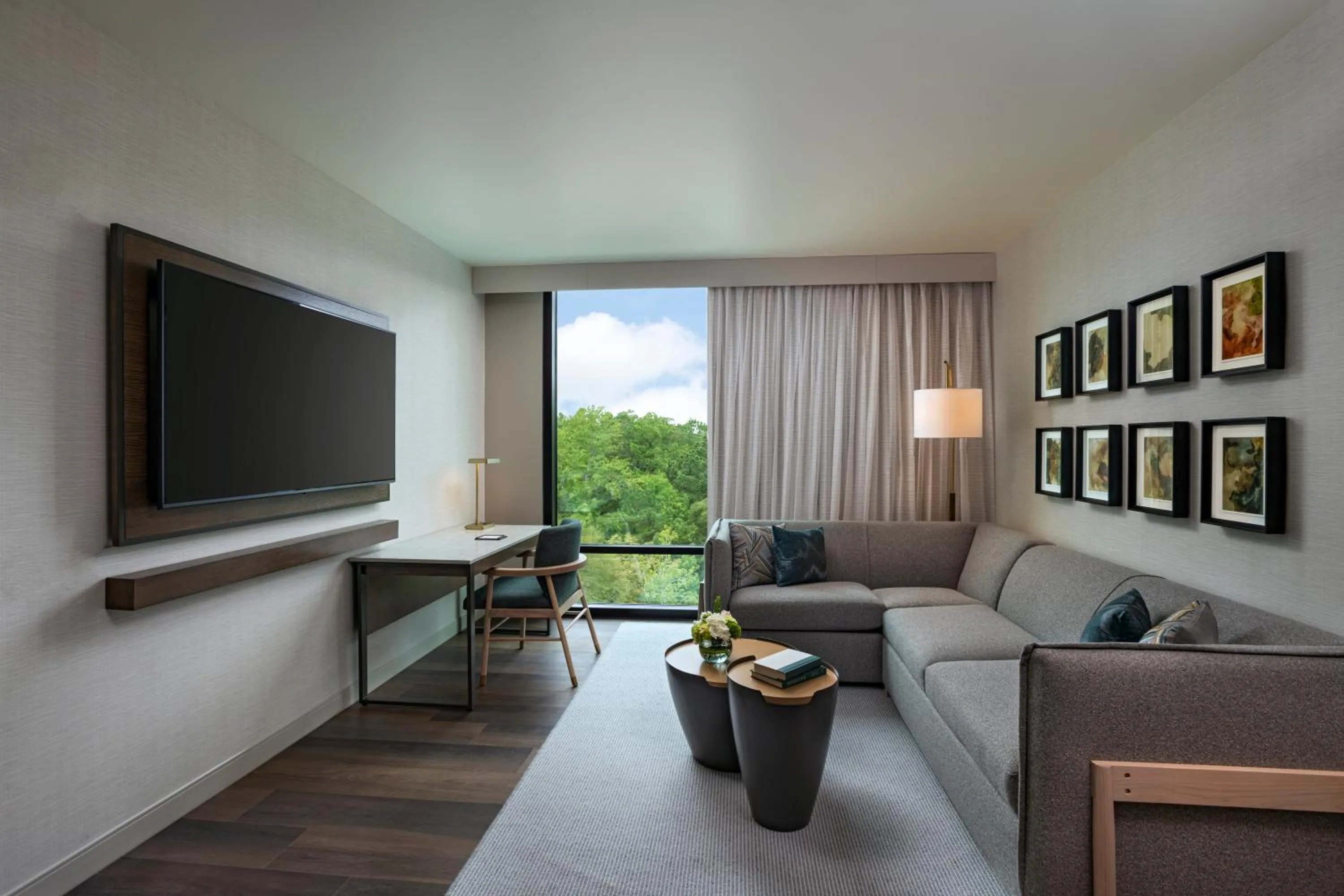 TV and multimedia in Hyatt Regency Conroe