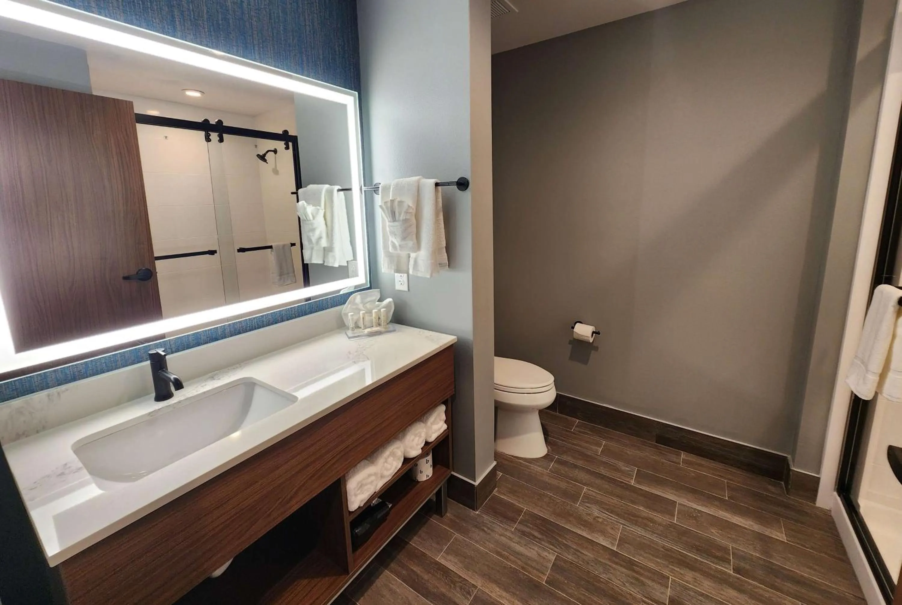 TV and multimedia in Hawthorn Extended Stay by Wyndham Del Rio
