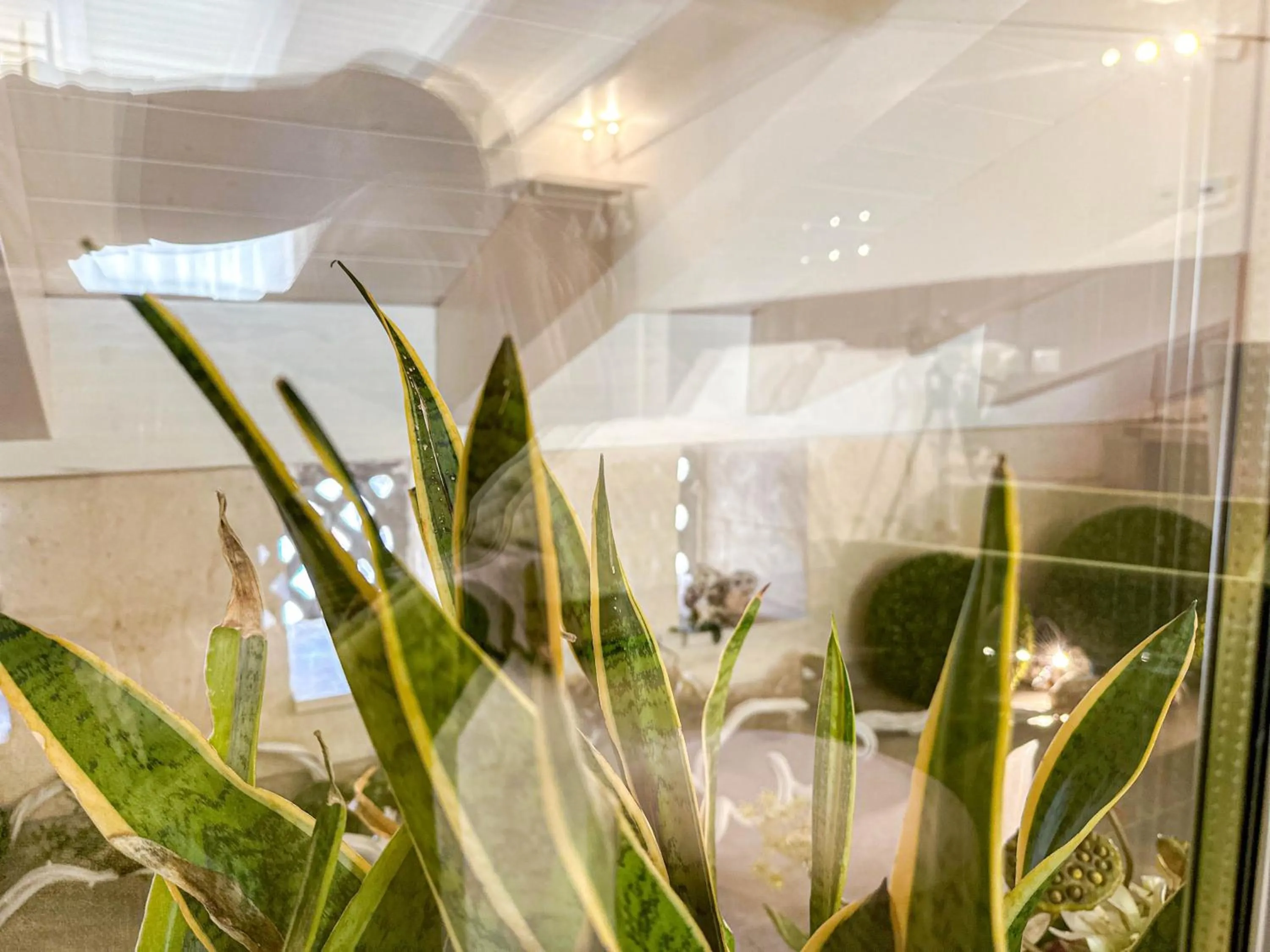 Decorative detail in Profumi di Primavera Luxury Rooms & Suite