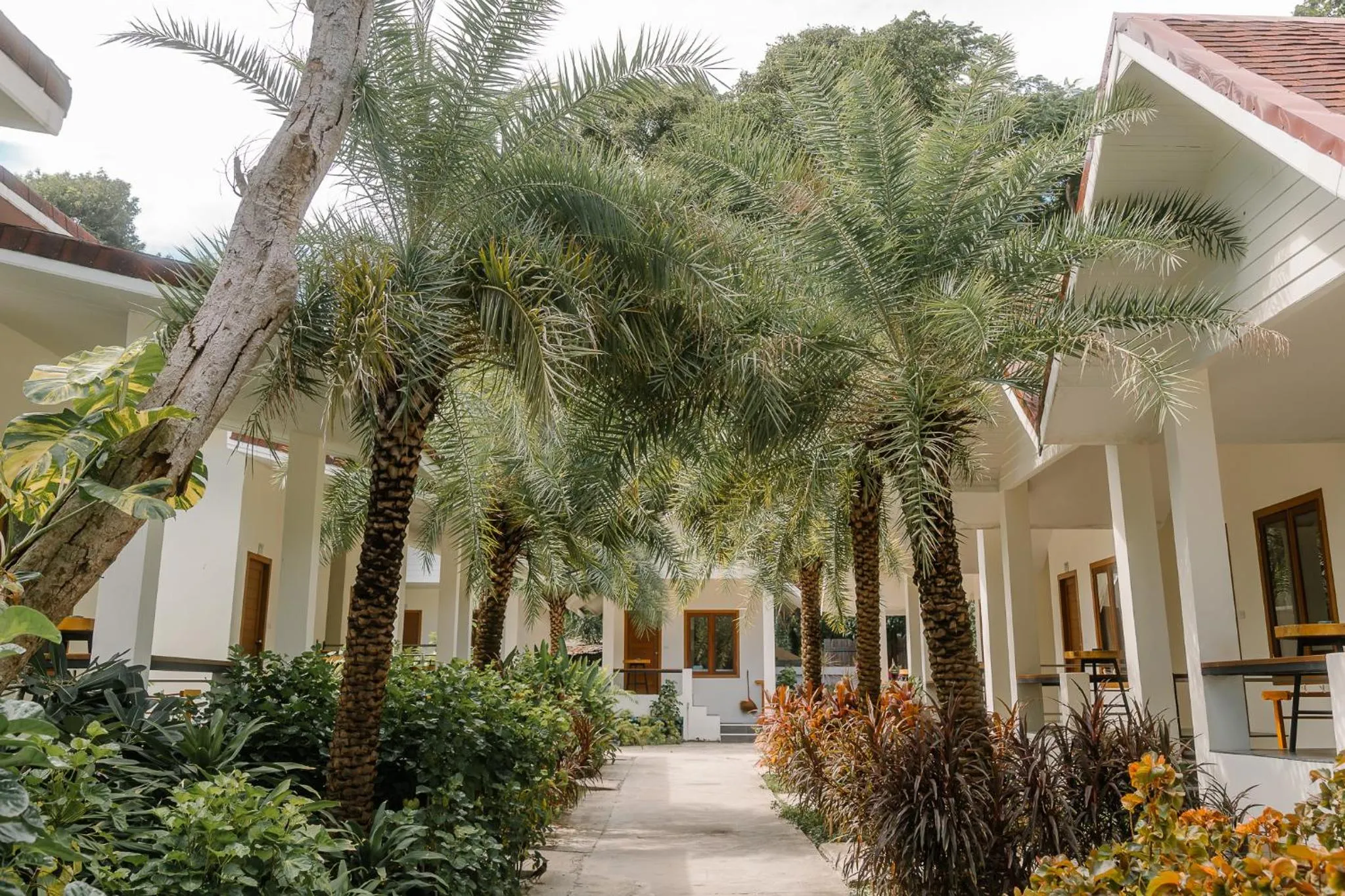 Garden view in Diamond Beach Resort