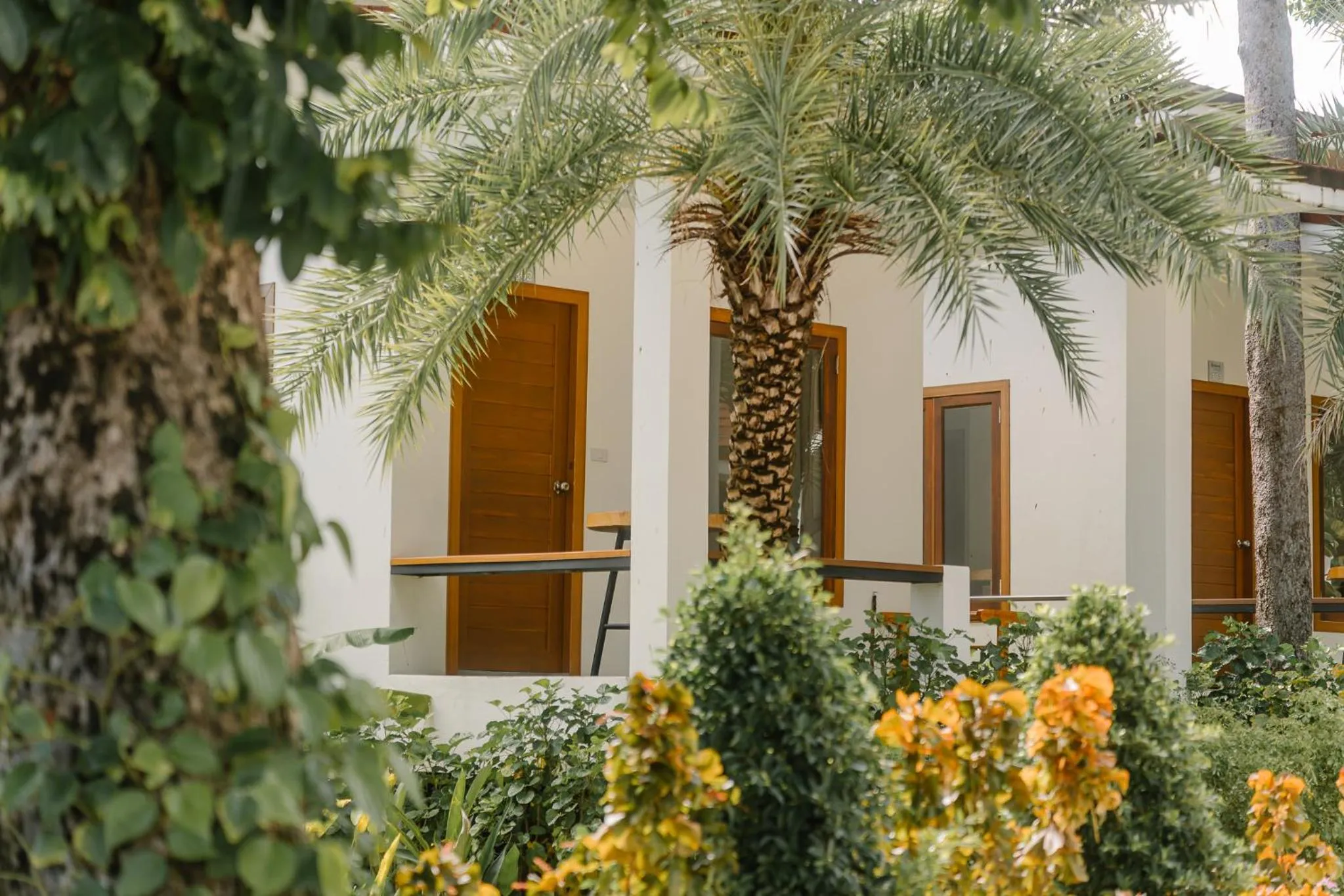 Garden view in Diamond Beach Resort