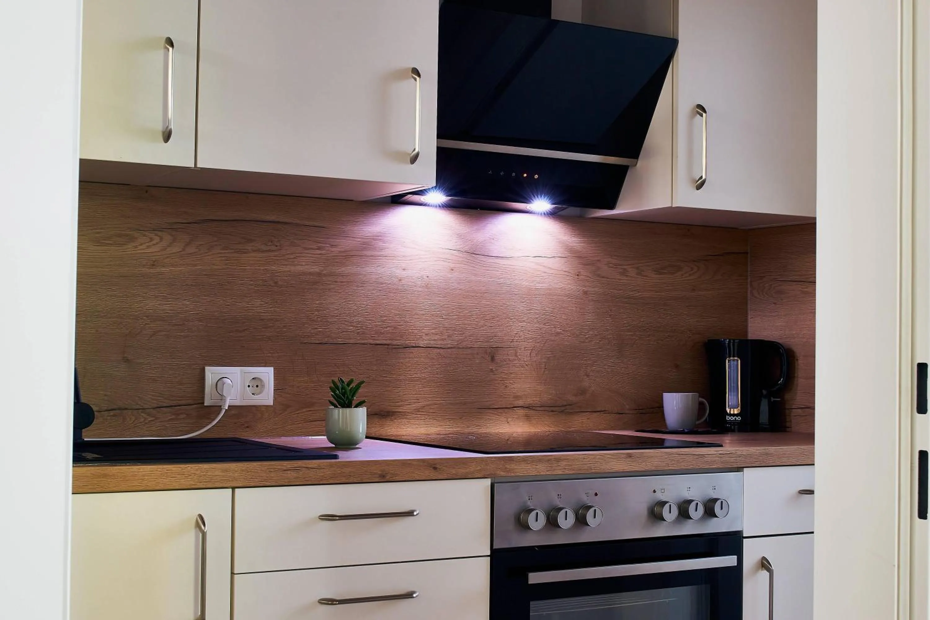 Kitchen or kitchenette in The Art and Sporthotel