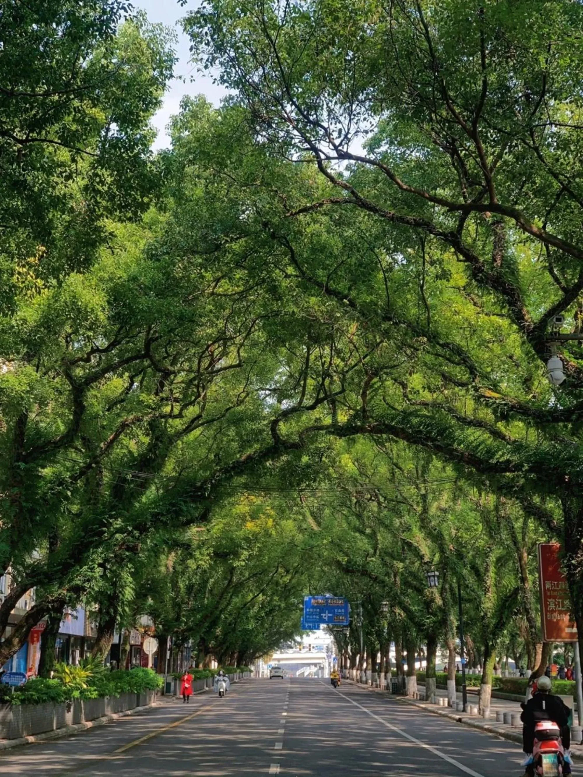 Neighbourhood in Riverside Wing Hotel Guilin