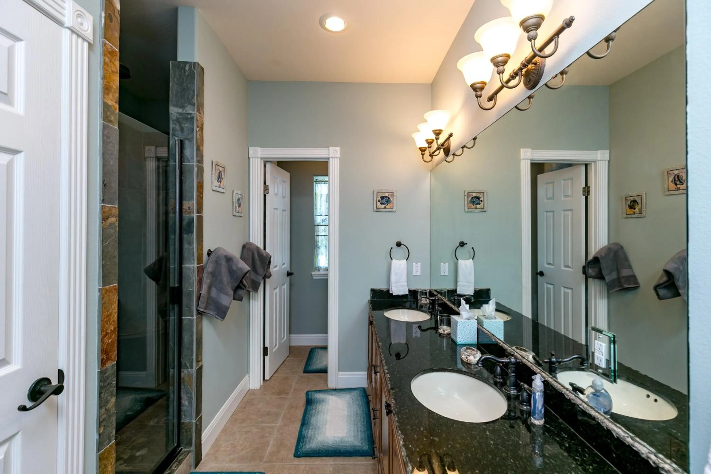 Property building in Porpoise of Life