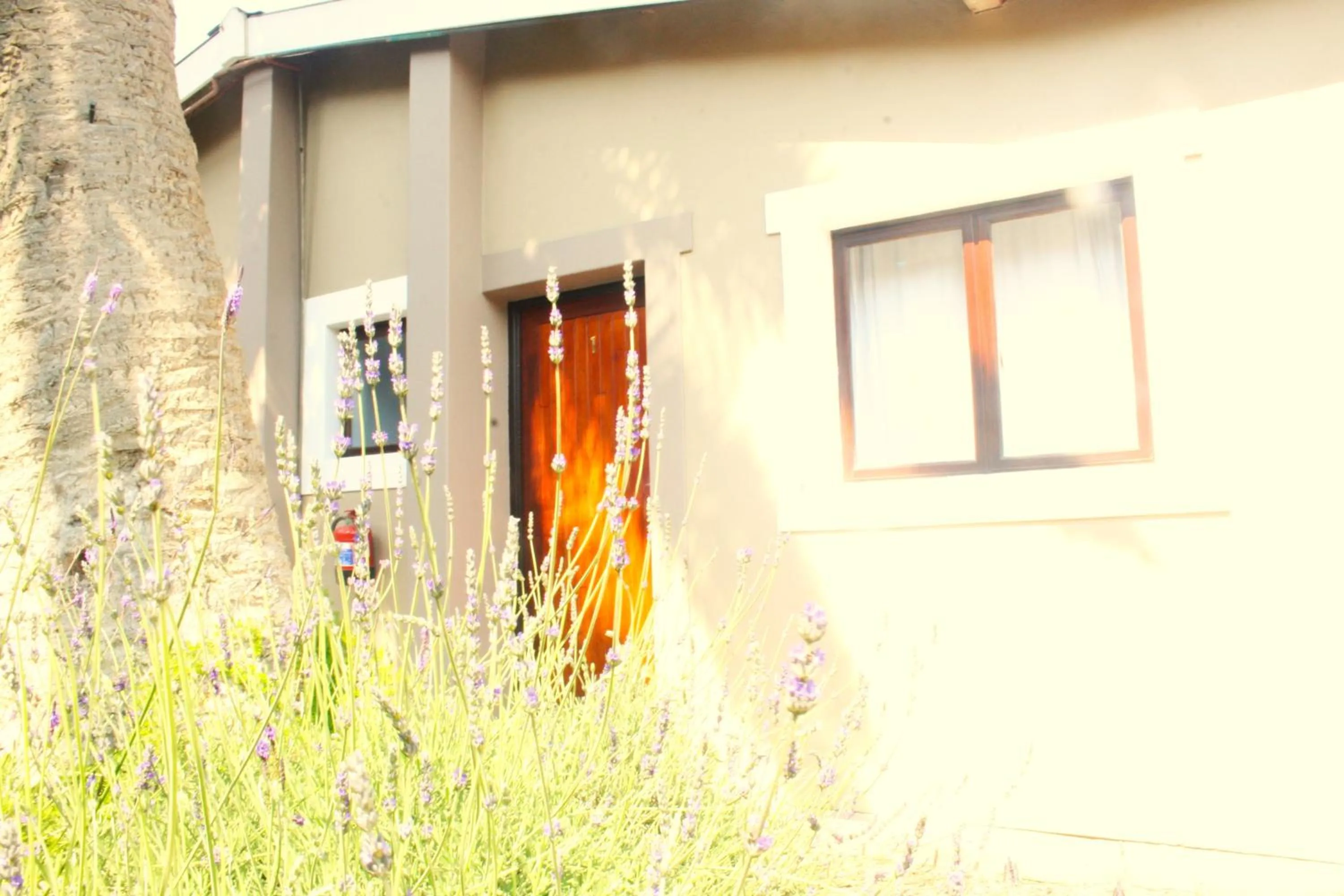 Garden in The Residence at Villa Wiese