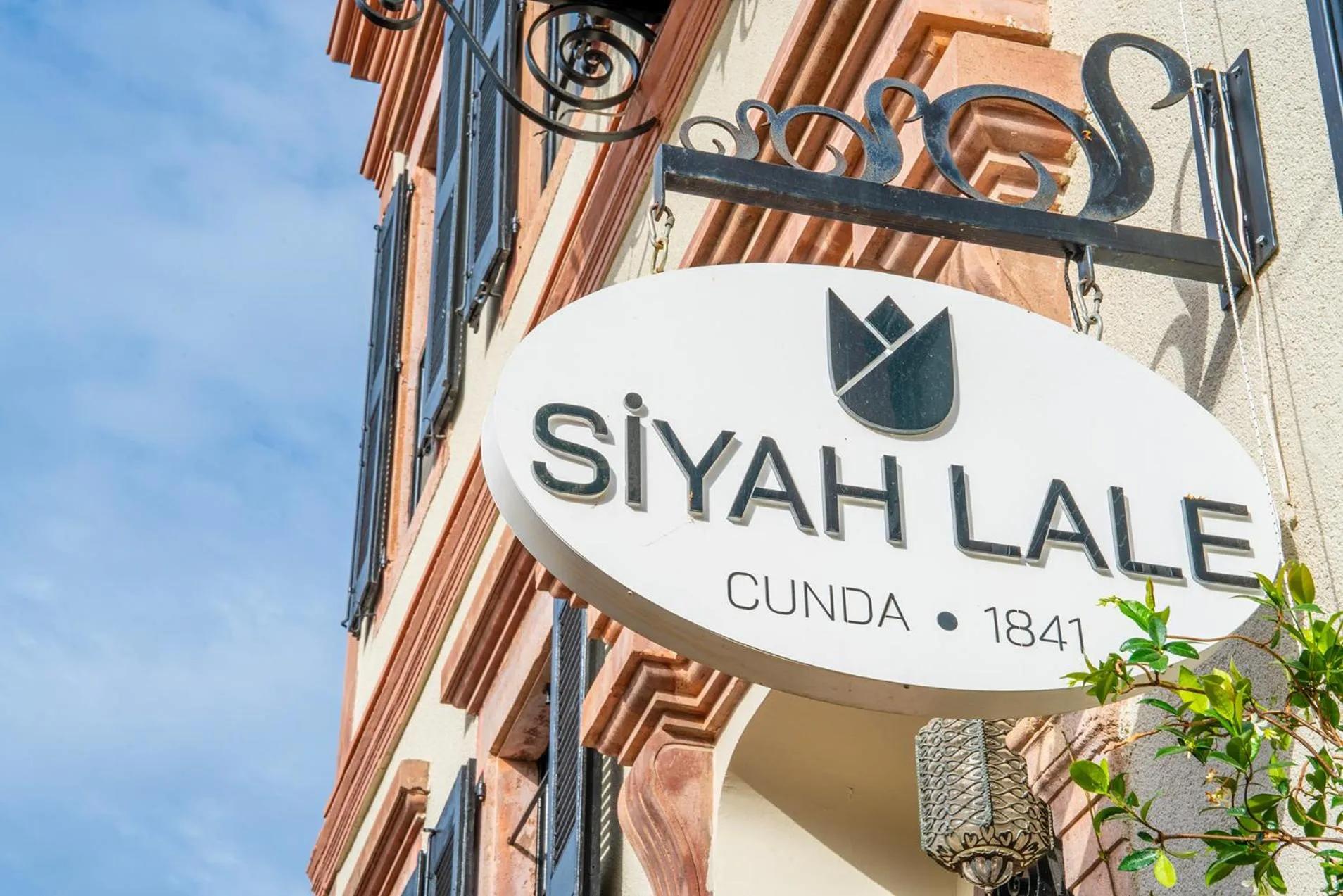 Siyah Lale Cunda 1841