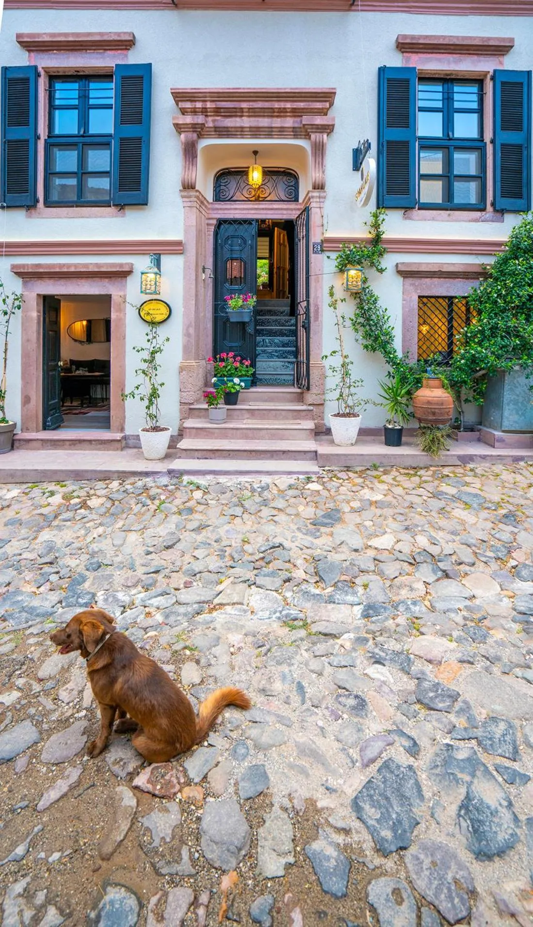 Siyah Lale Cunda 1841