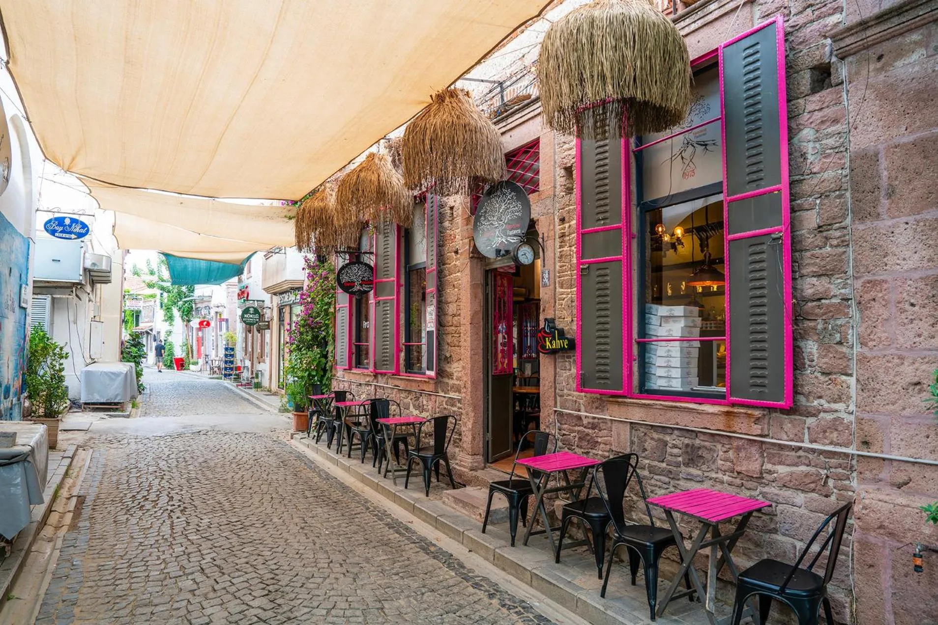 Siyah Lale Cunda 1841