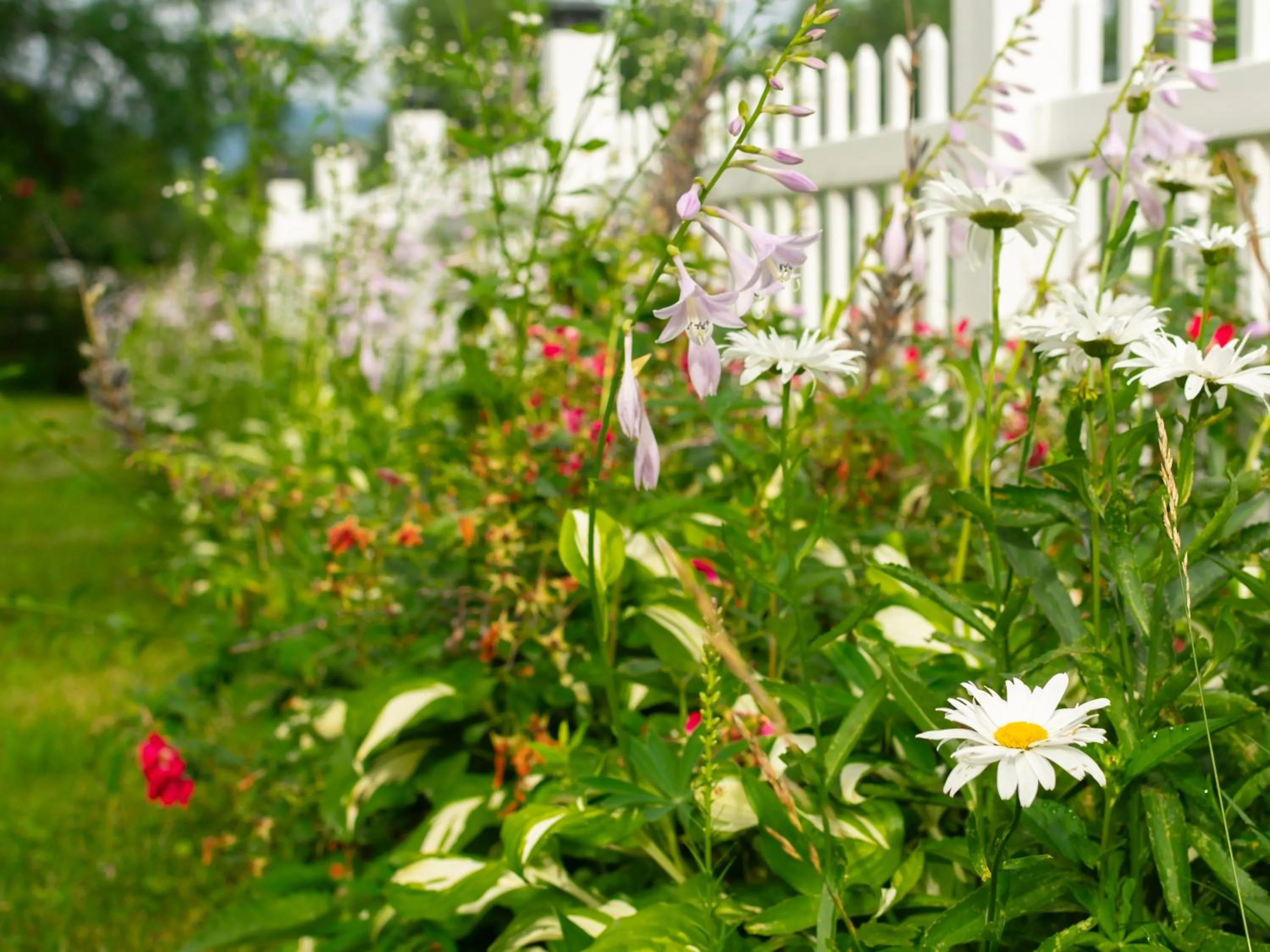 Garden in Launchpoint Lodge