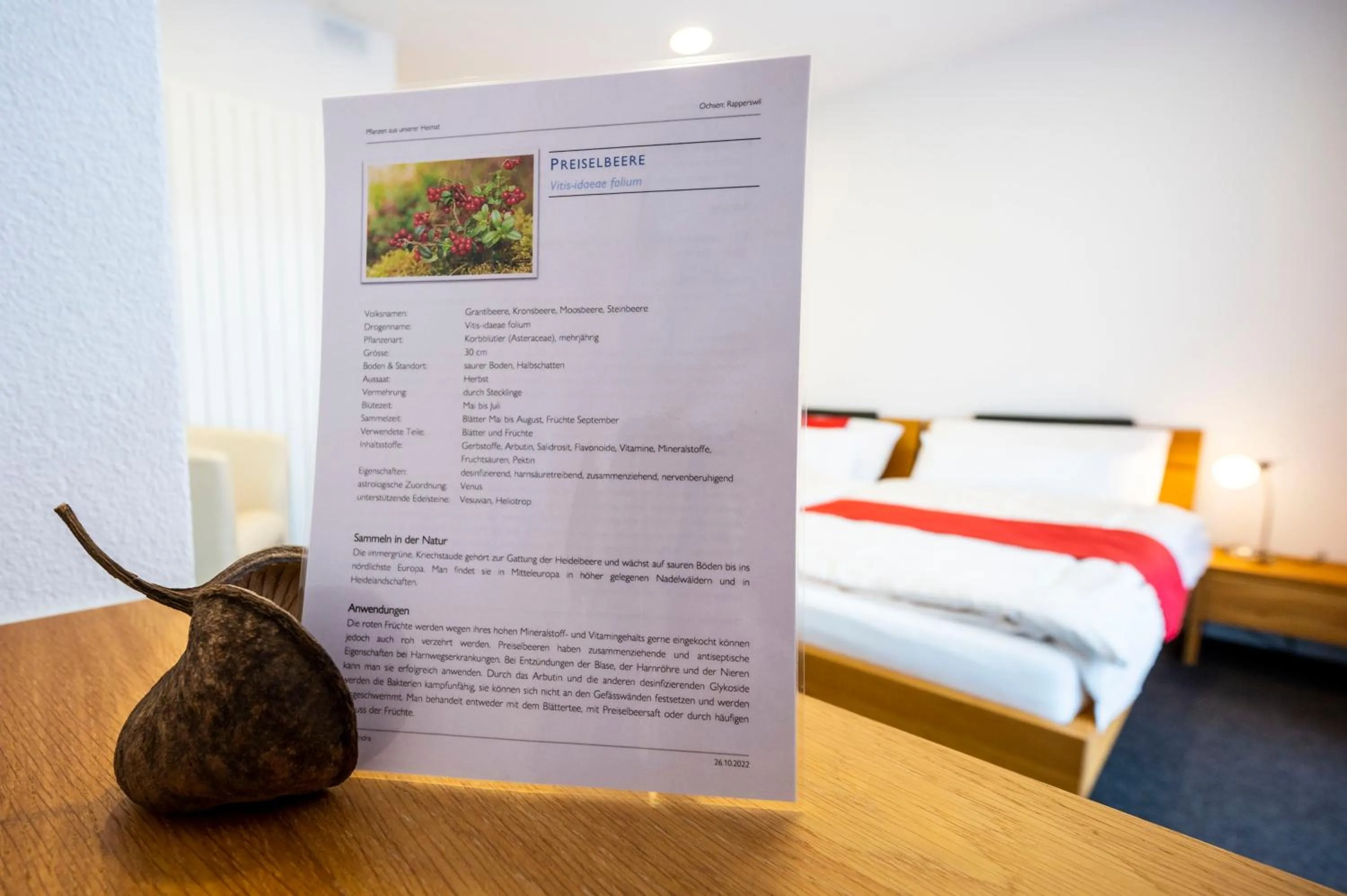 Decorative detail, Bed in Hotel Ochsen Rapperswil/BE