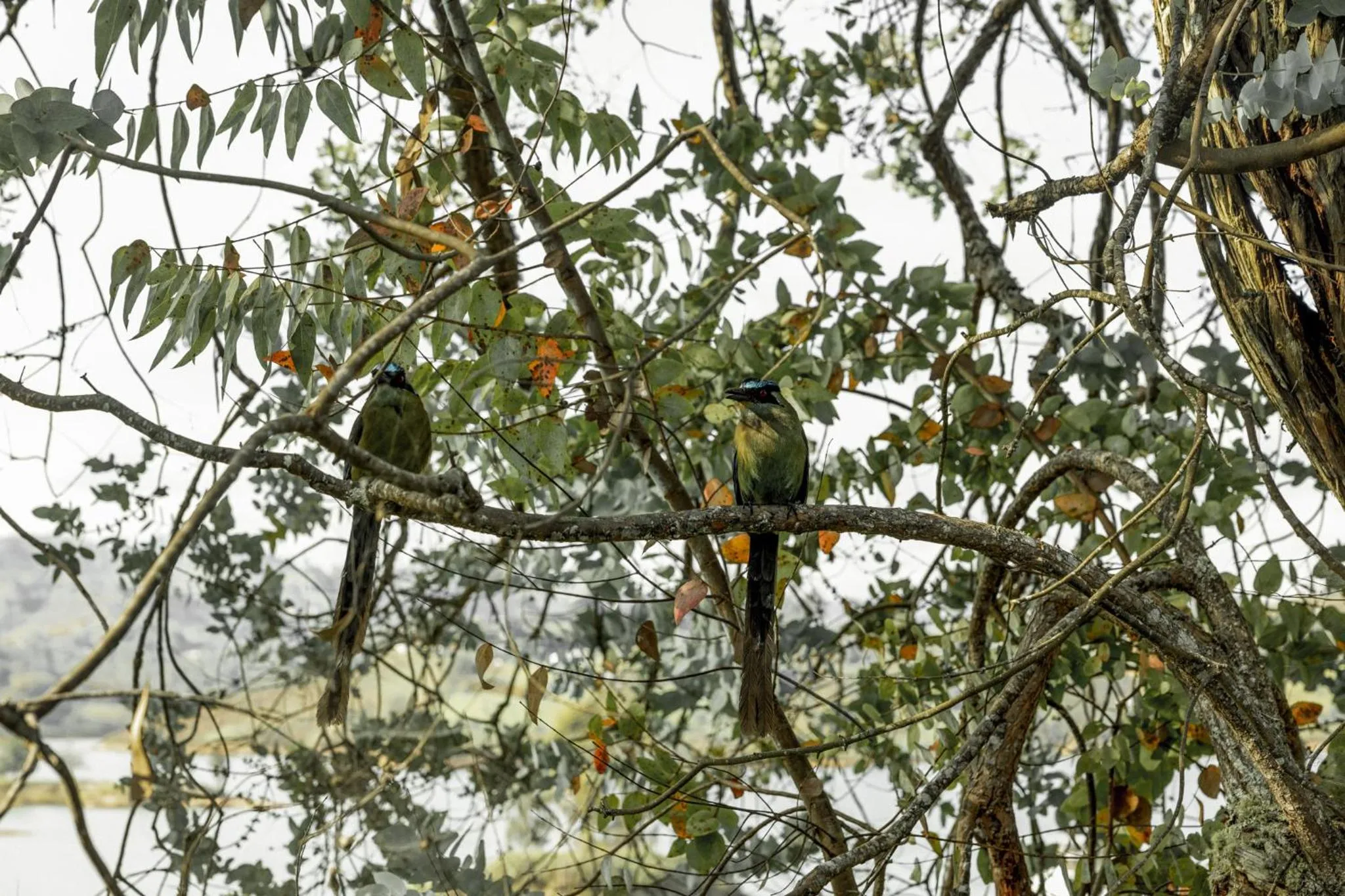 Off site in La Pausa Hotelbistro