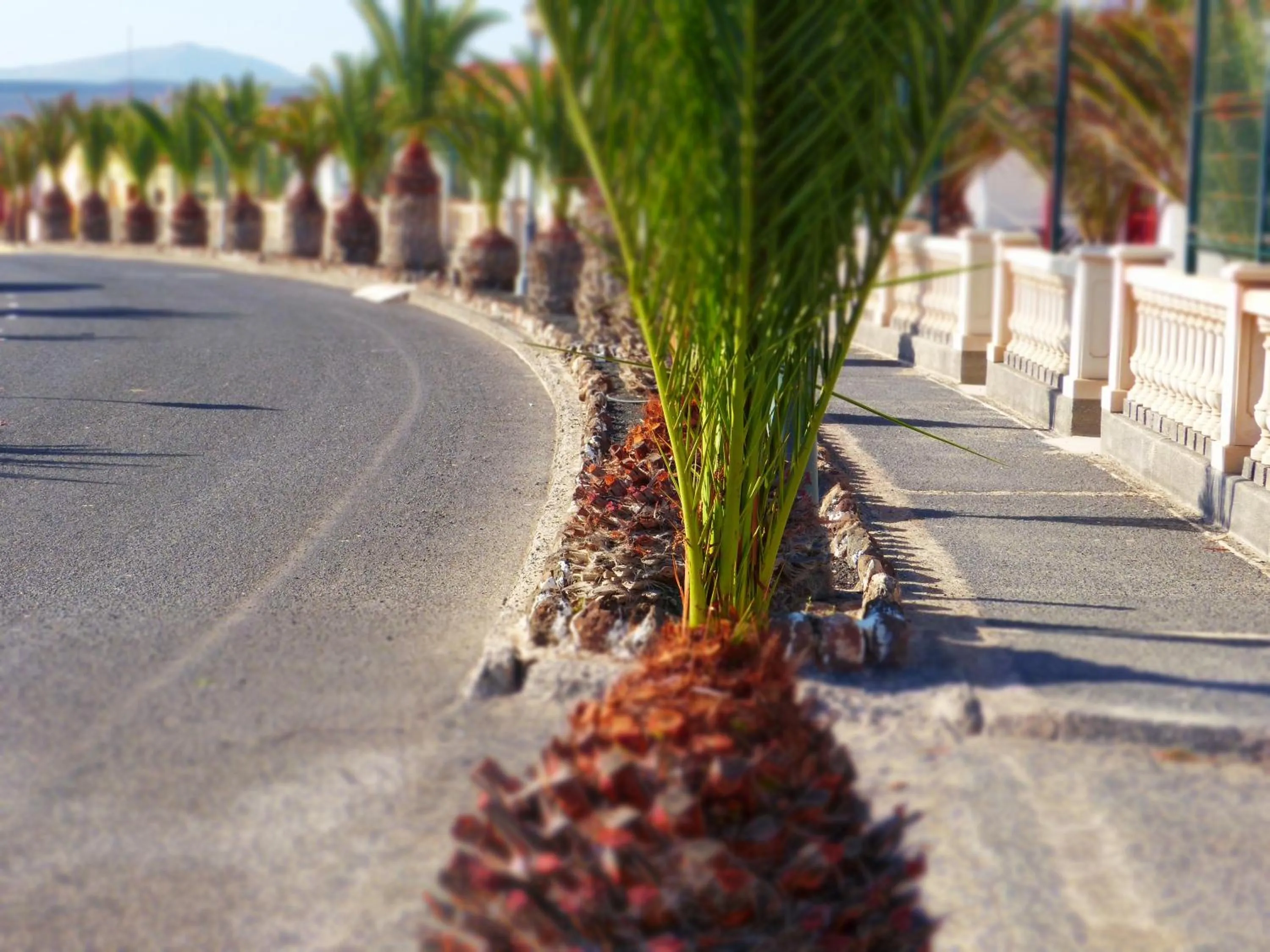 Area and facilities in Bungalows Castillo Beach