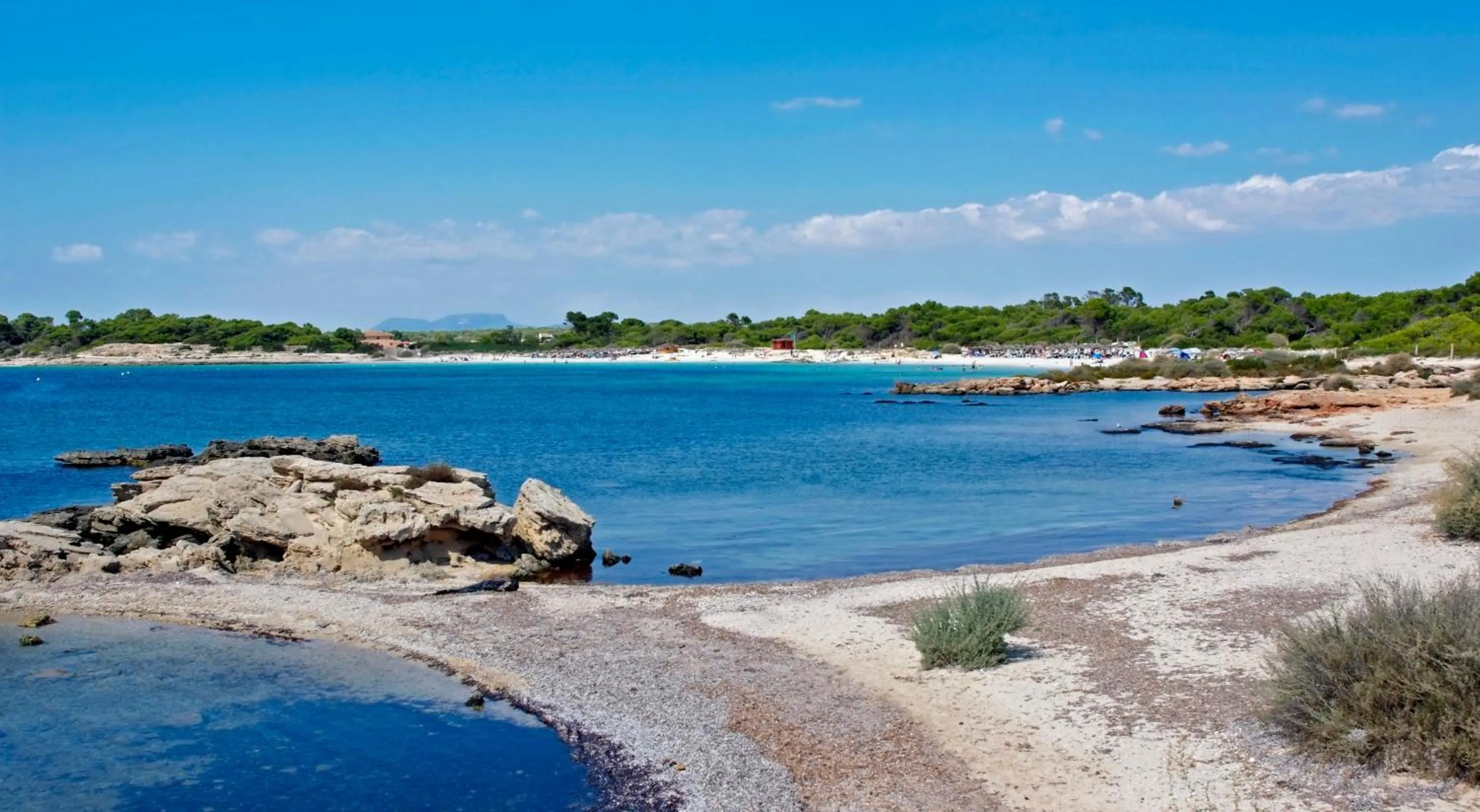 Area and facilities in Aparthotel Isla de Cabrera