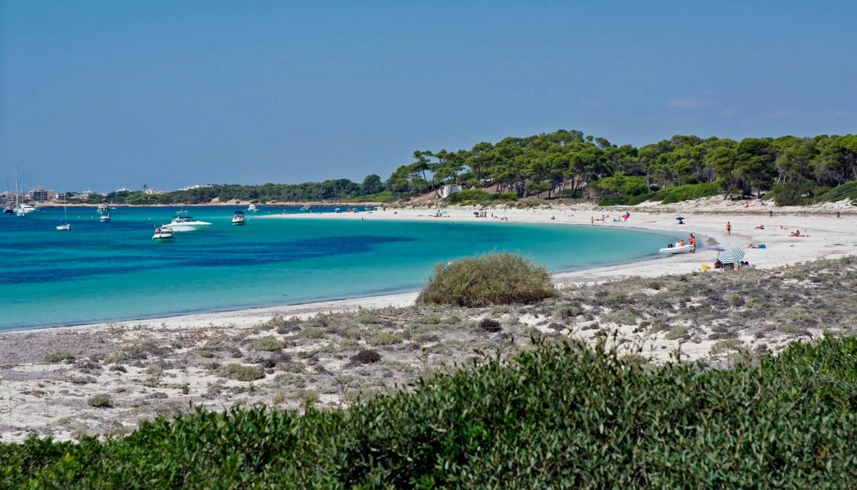 Area and facilities in Aparthotel Isla de Cabrera