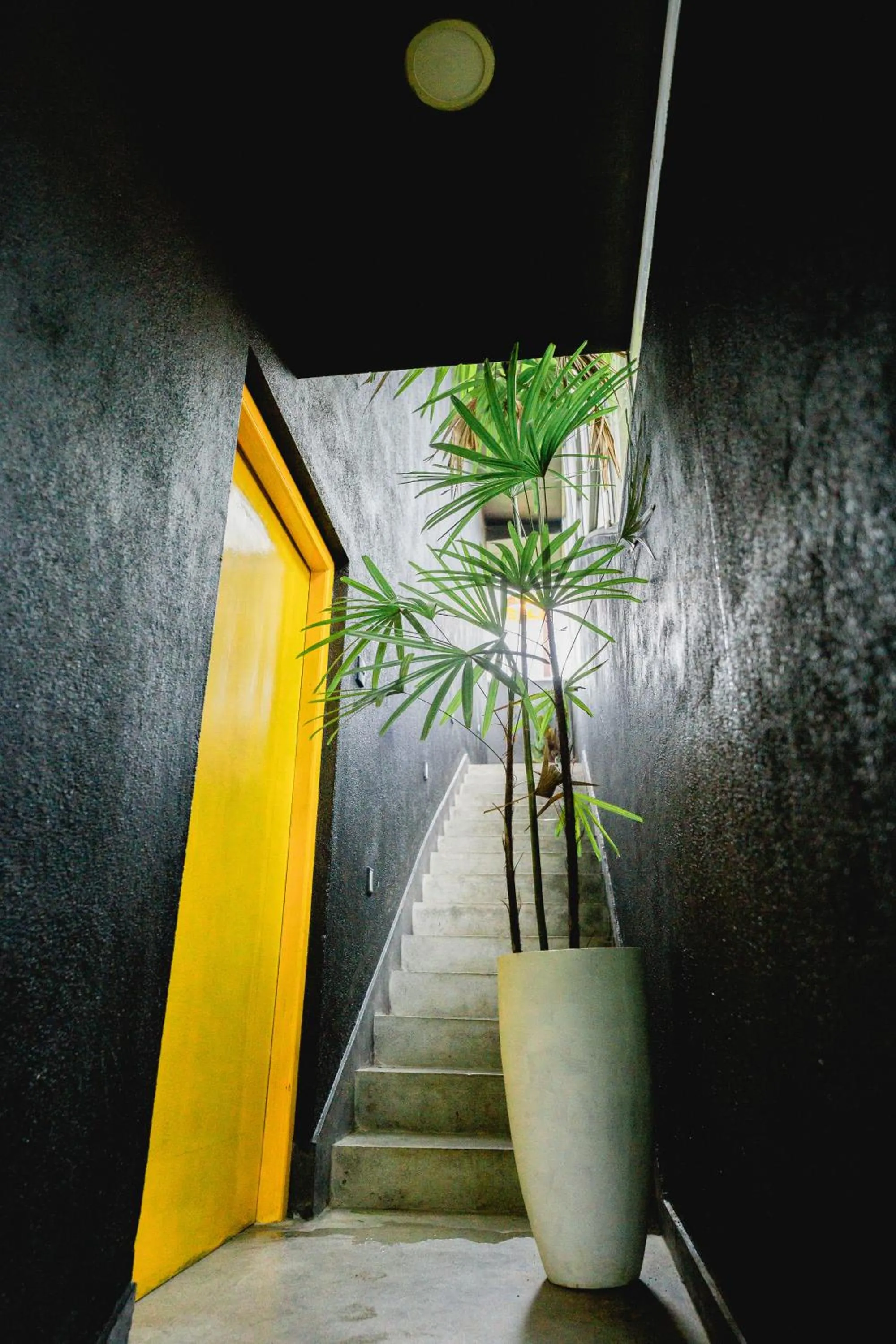 Decorative detail in Sugar Hostel Weligama - Coliving & Coworking