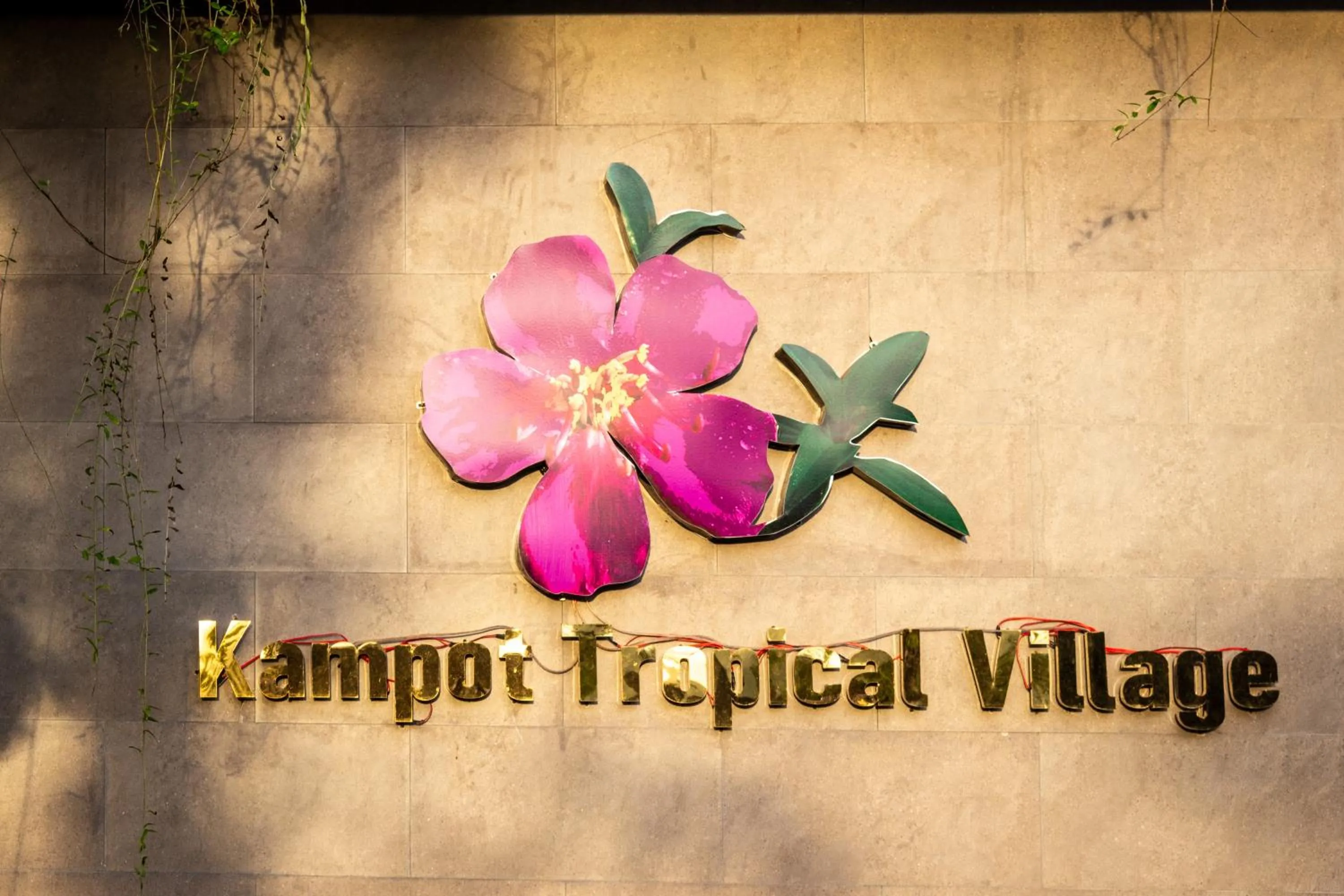 Restaurant/places to eat in Kampot Tropical Village
