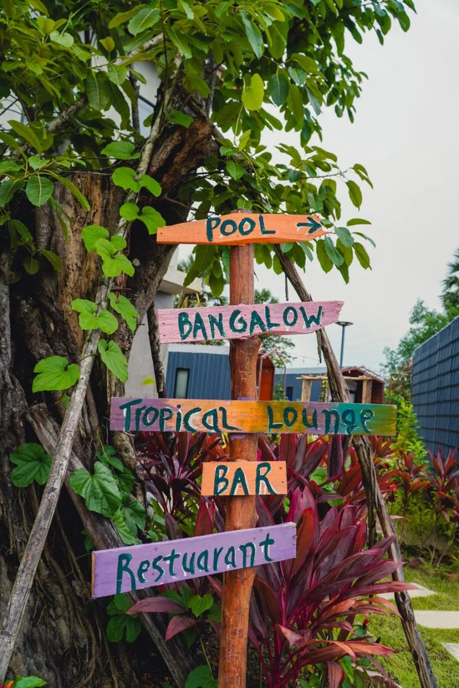 Day in Kampot Tropical Village