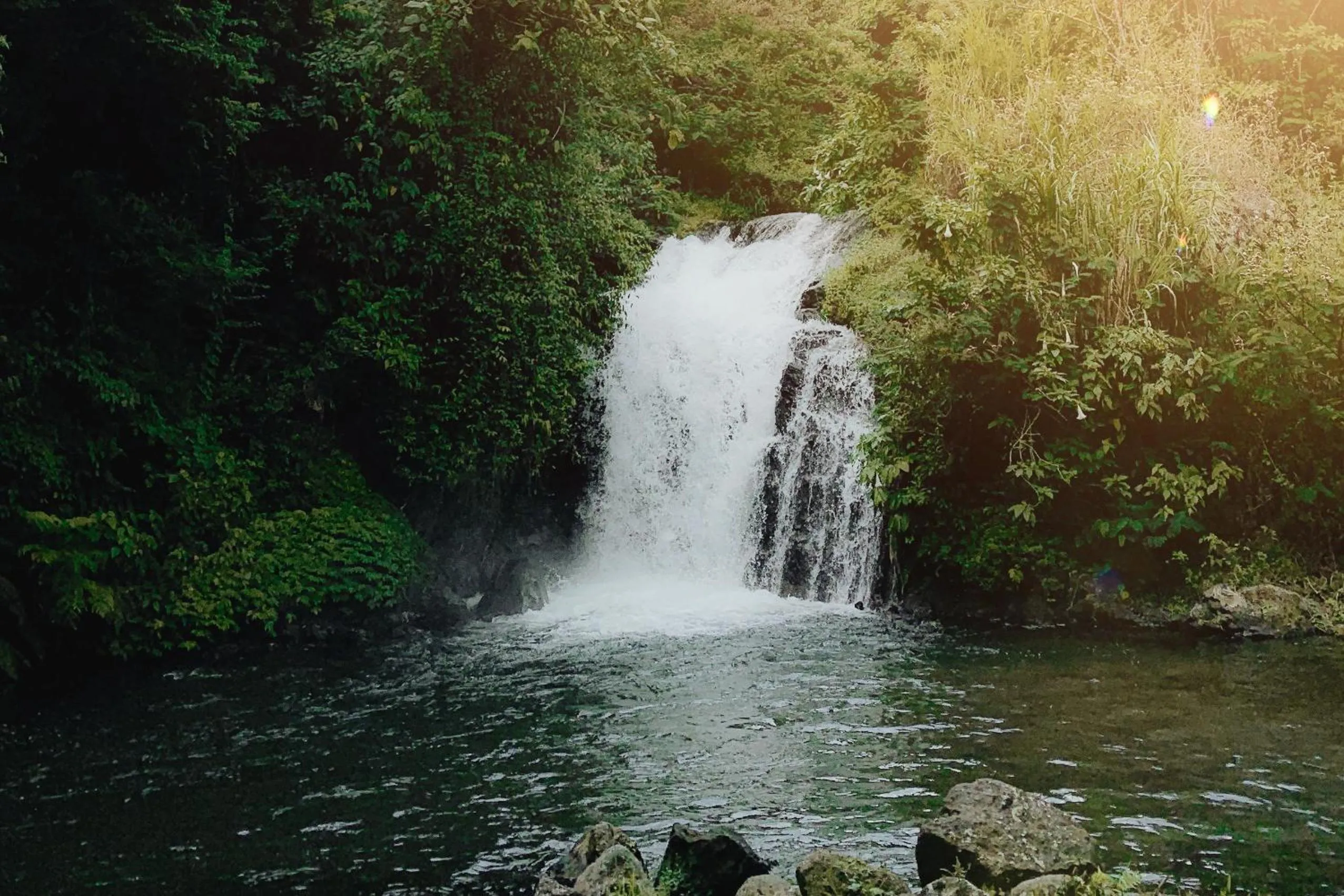 Natural landscape in Maha Hills Resort by Mahaprana Experience