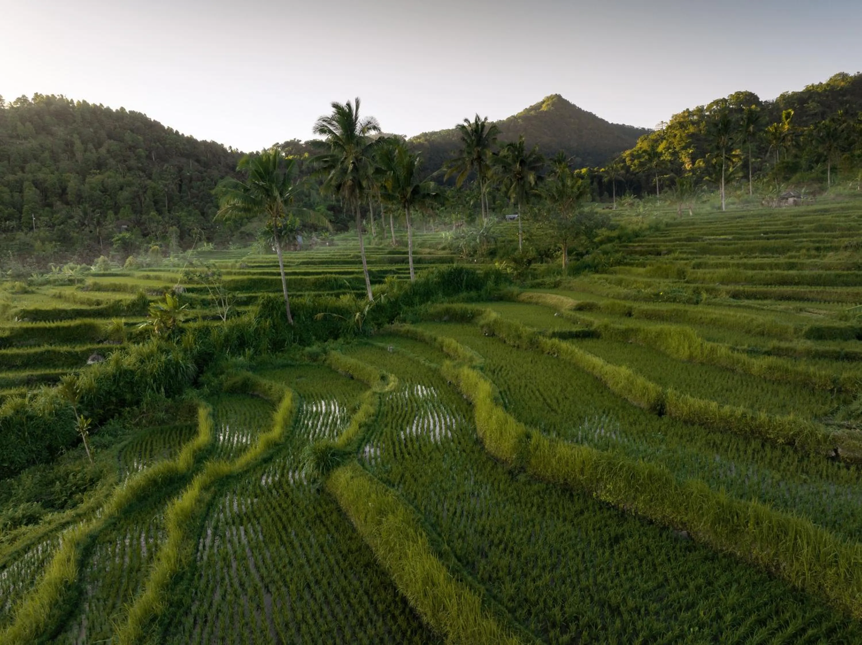 Other in Maha Hills Resort by Mahaprana Experience