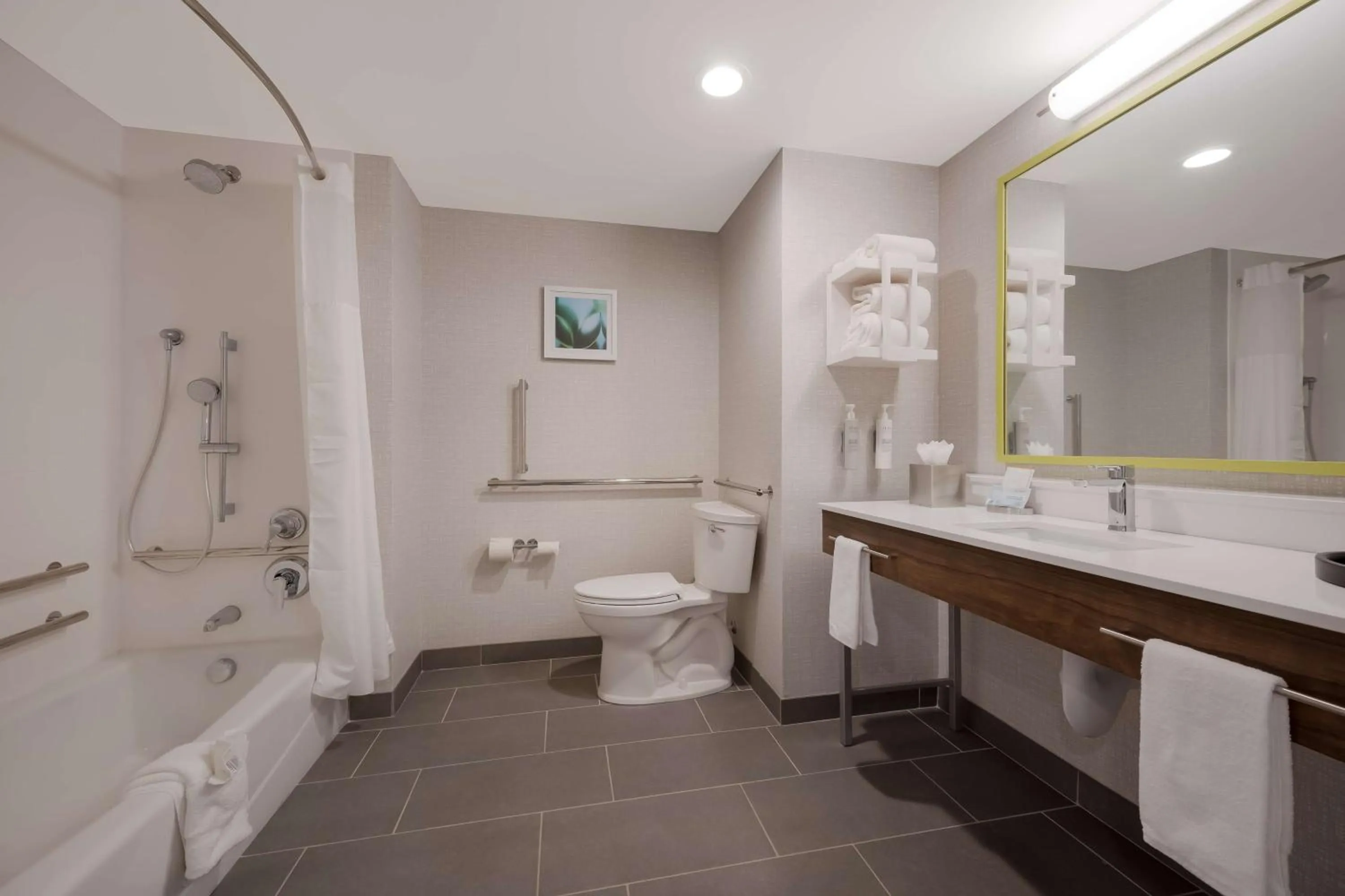 Bathroom in Hampton Inn by Hilton Detroit Southfield