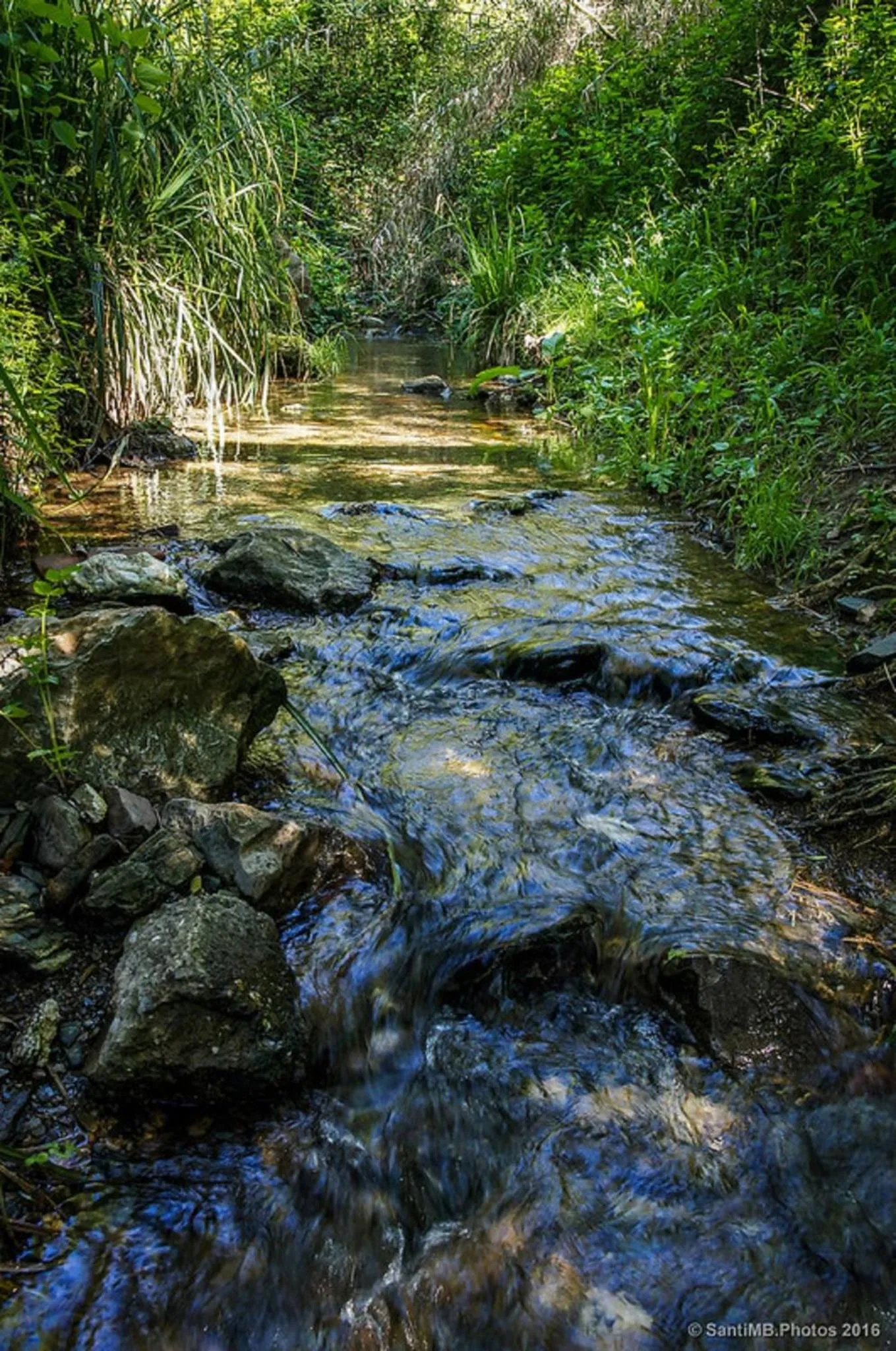 Nearby landmark in Holiday Inn Express Molins de Rei by IHG