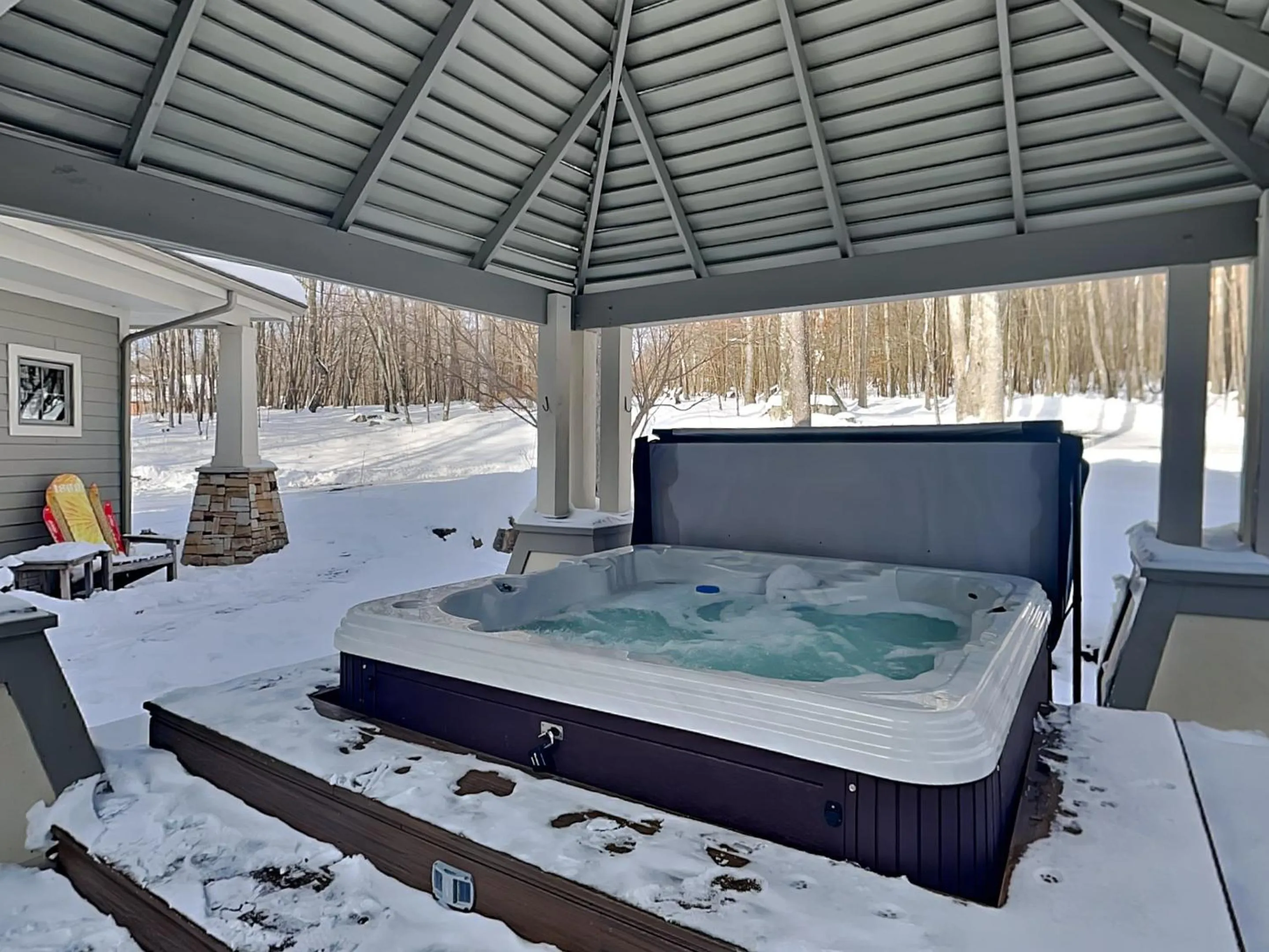 Stone Mountain Vista