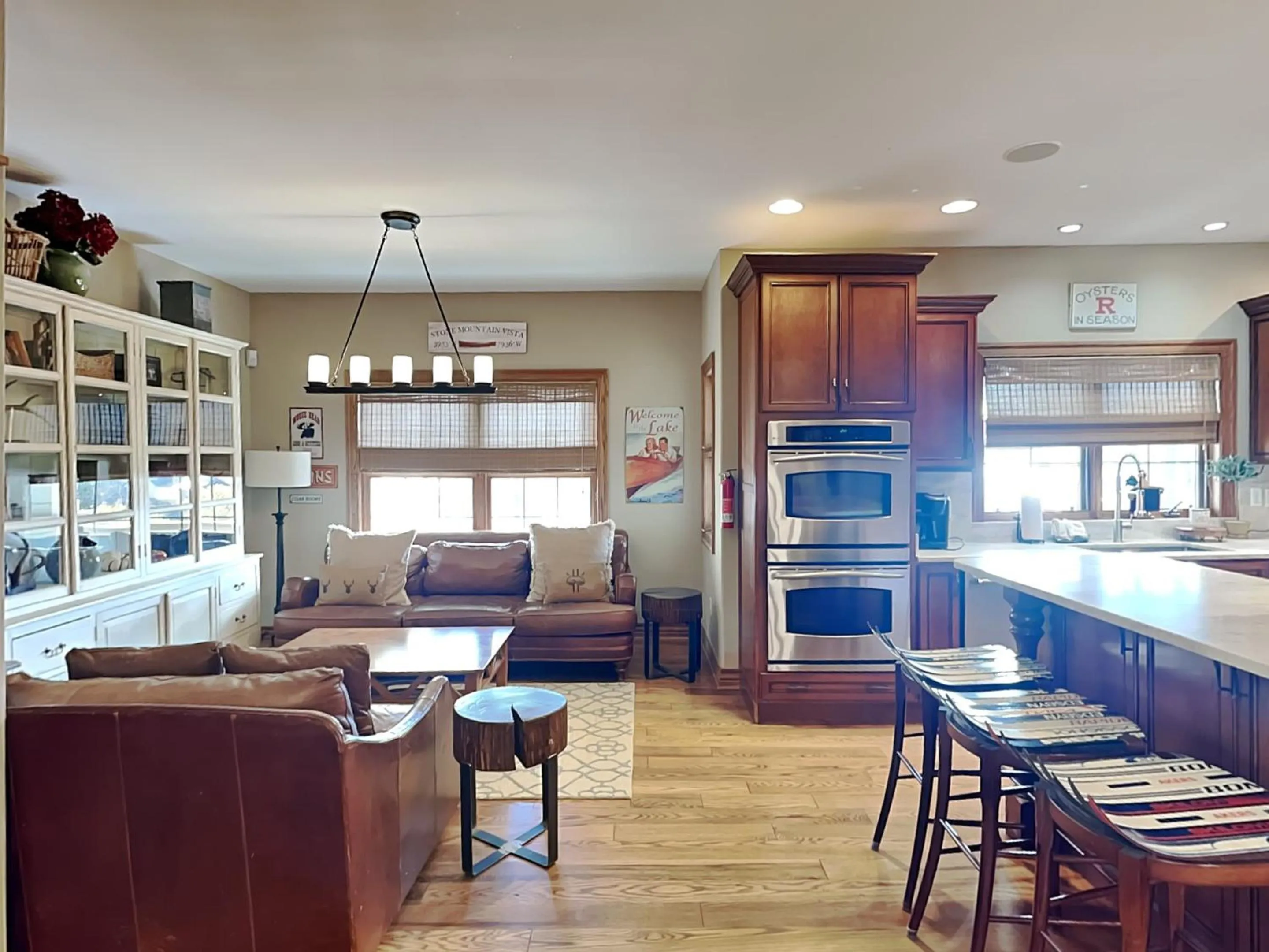 Stone Mountain Vista