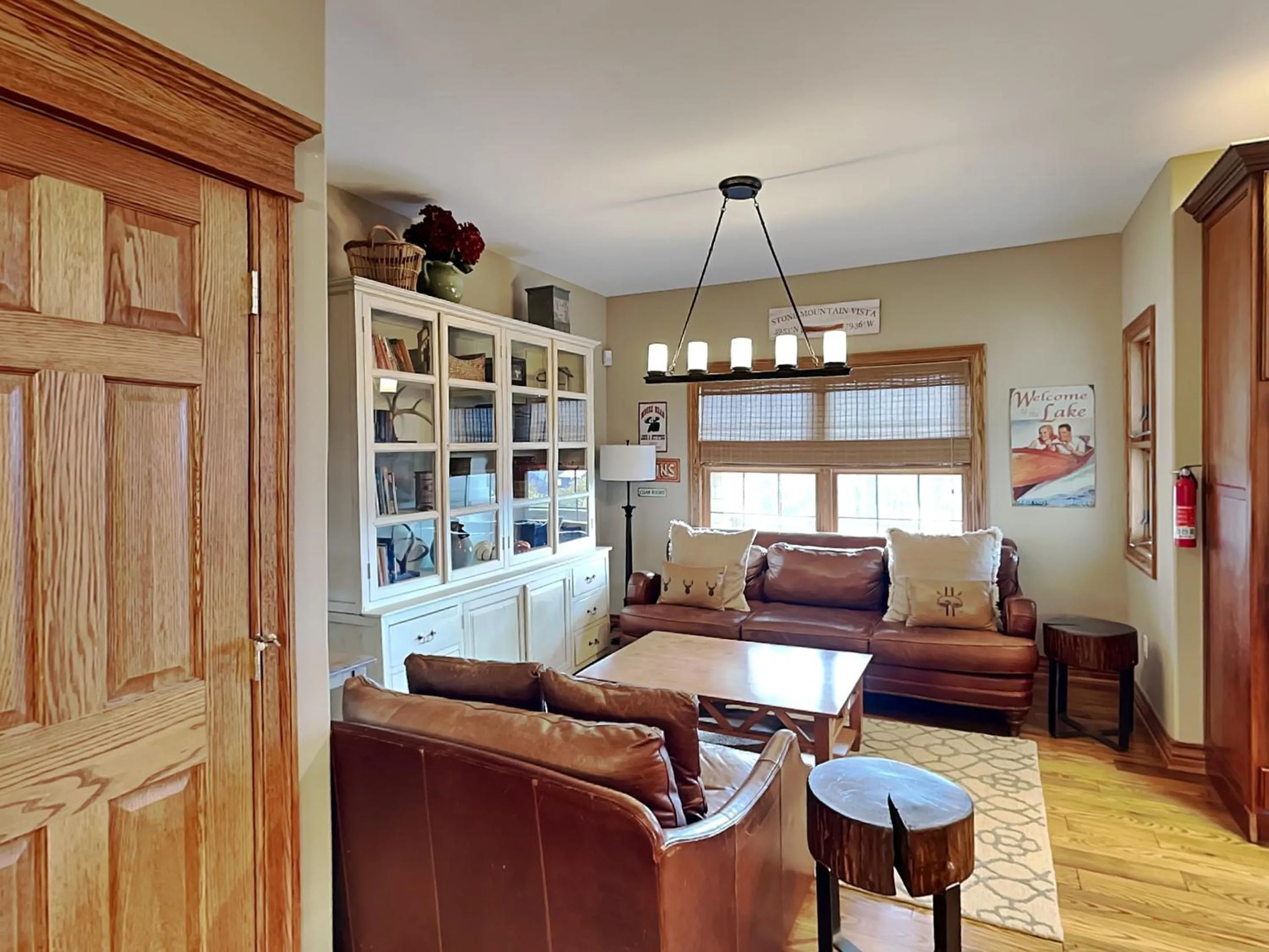 Stone Mountain Vista