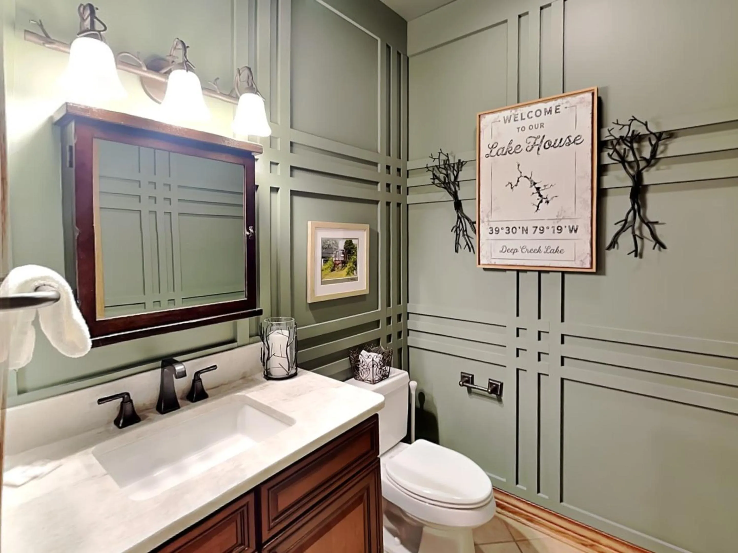 Stone Mountain Vista