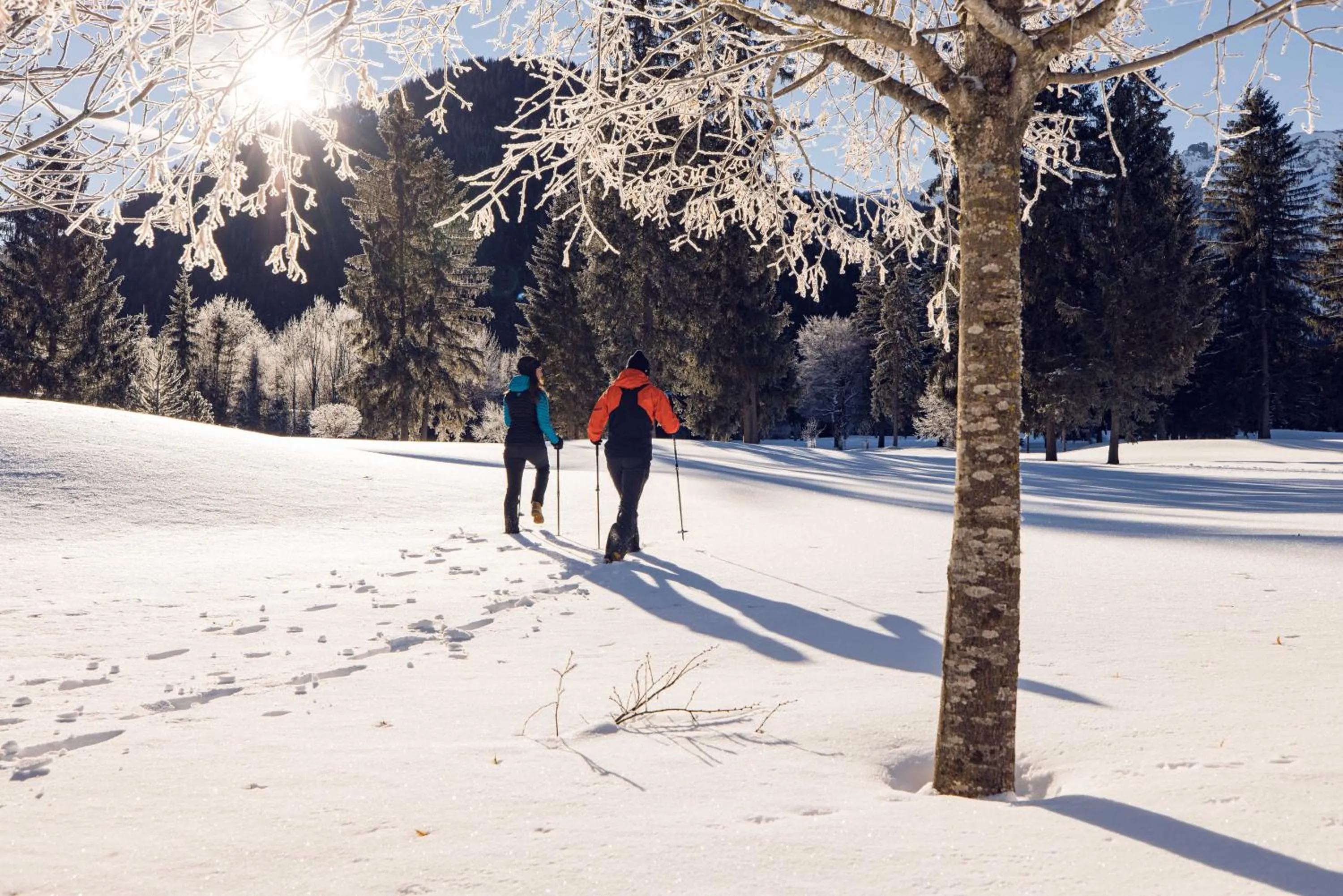 Natural landscape in NOVA Moments Boutique Hotel