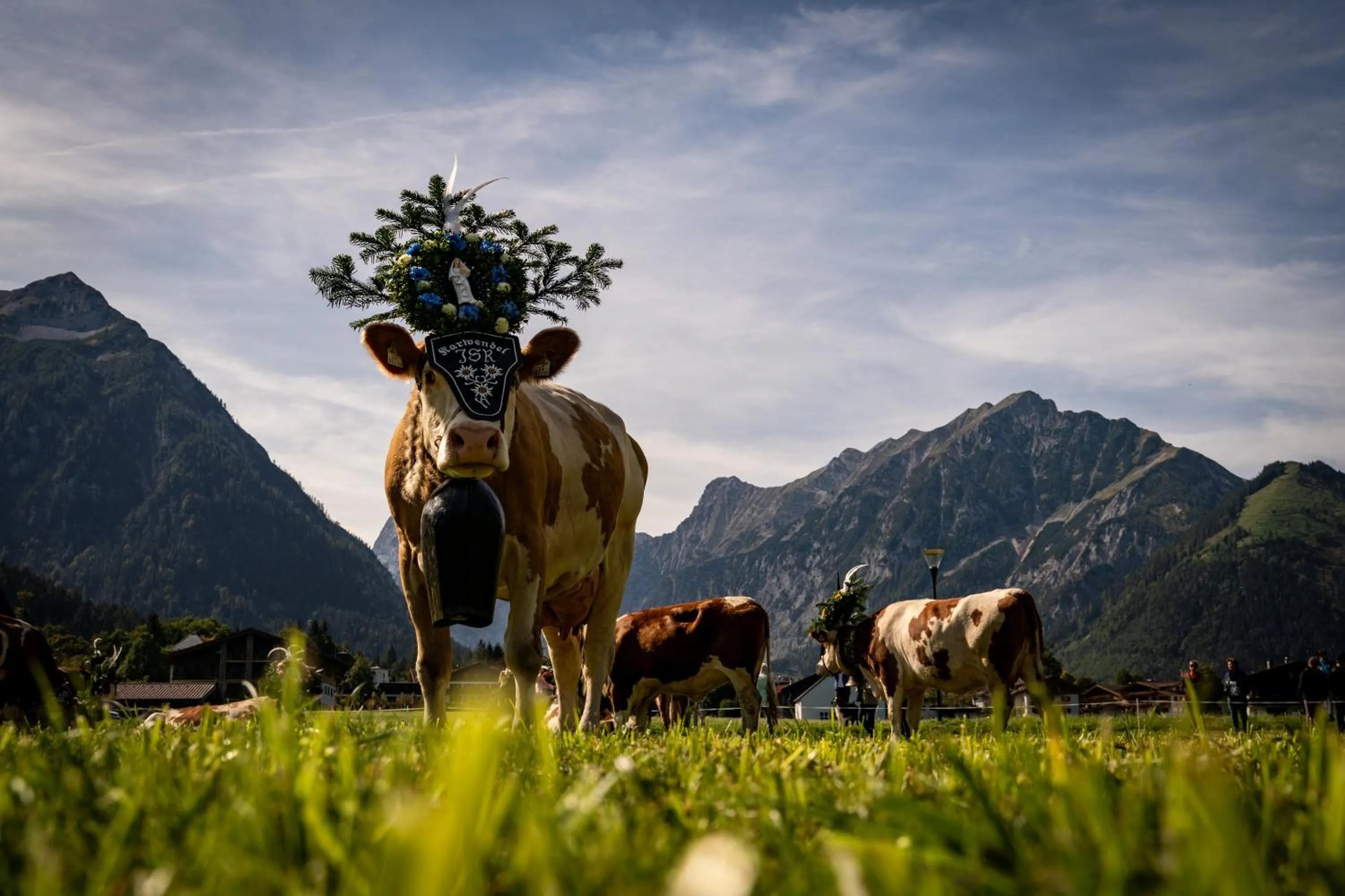 Natural landscape in NOVA Moments Boutique Hotel