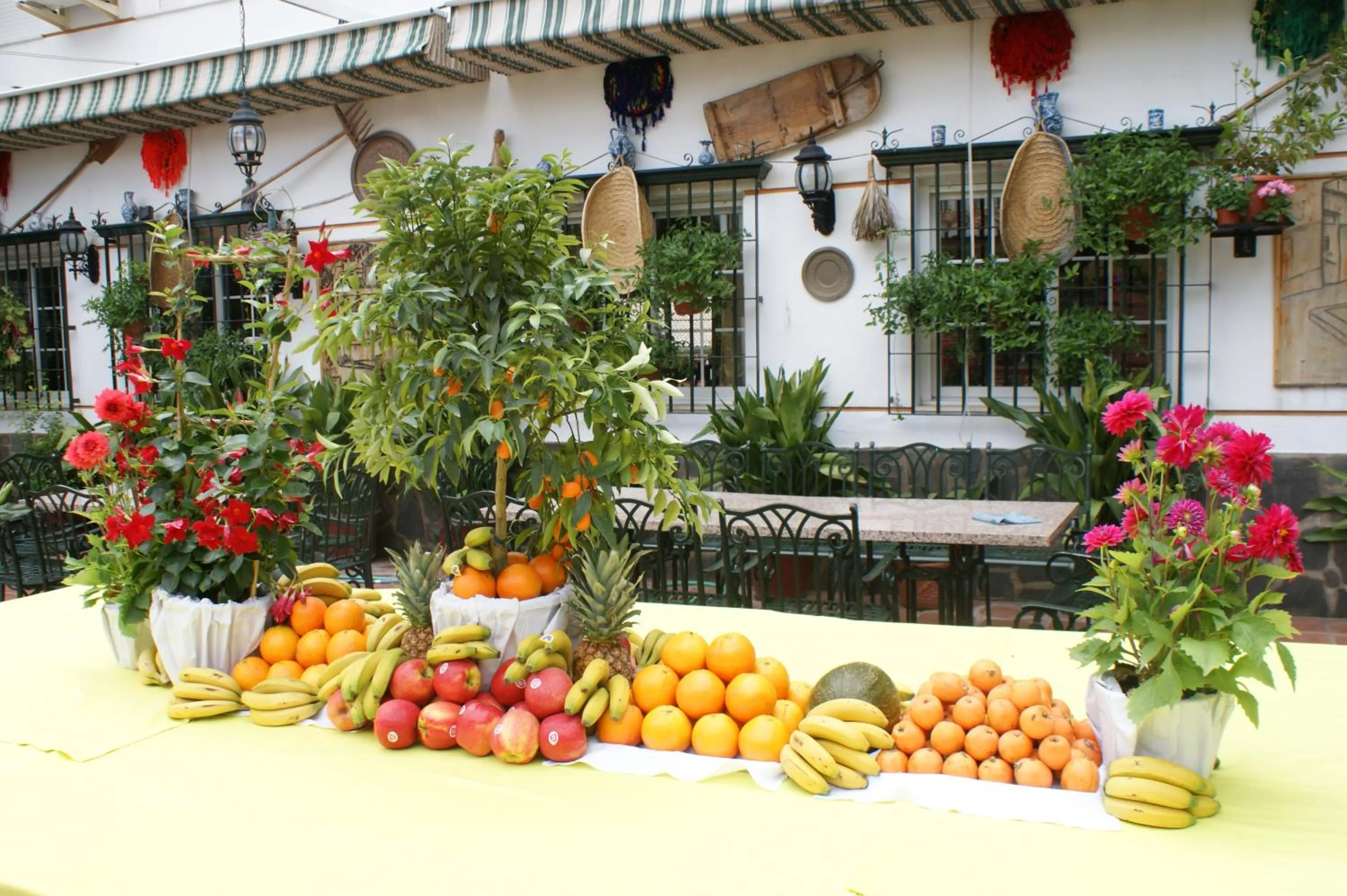 Restaurant/places to eat in Hotel Juan Francisco