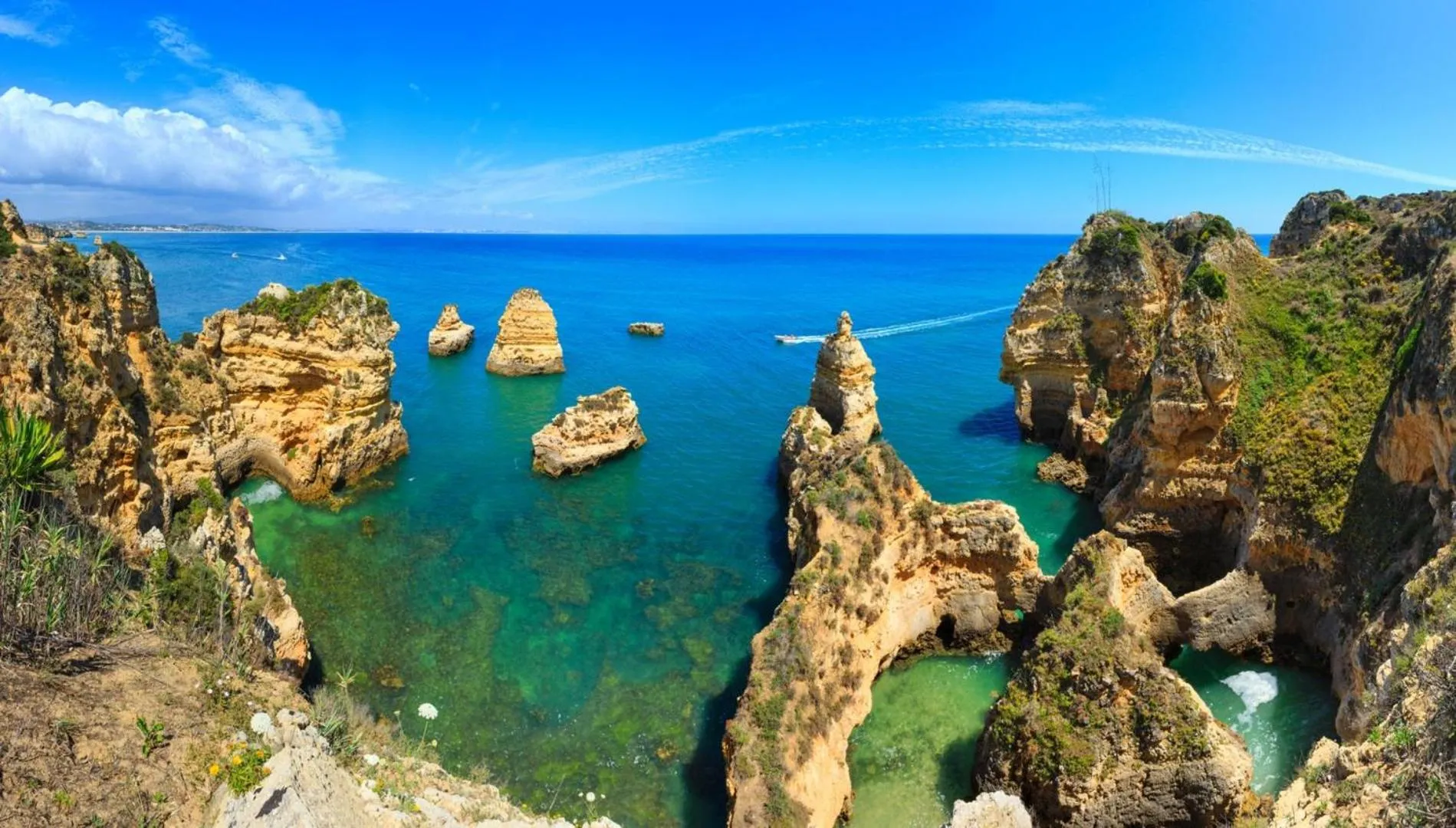 Floor plan in Maritime Discovery Apartment