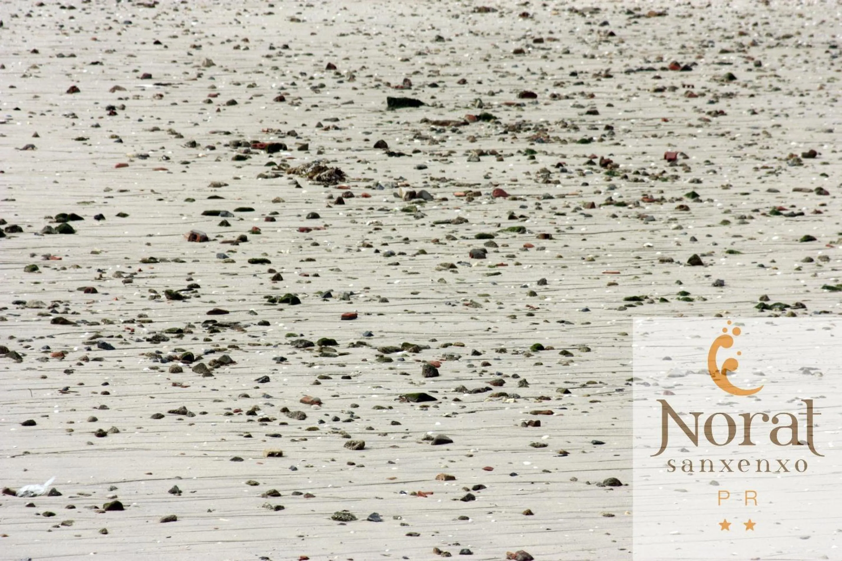 Other in Nuevo Norat Sanxenxo