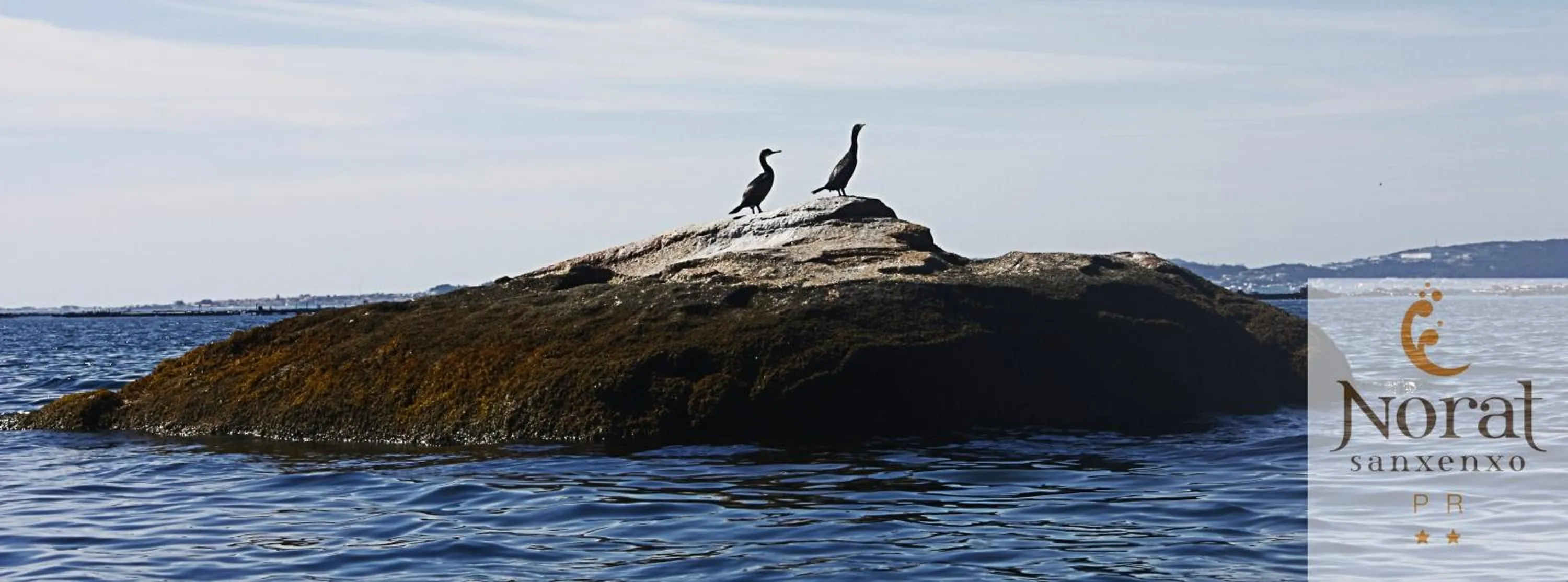 Other in Nuevo Norat Sanxenxo