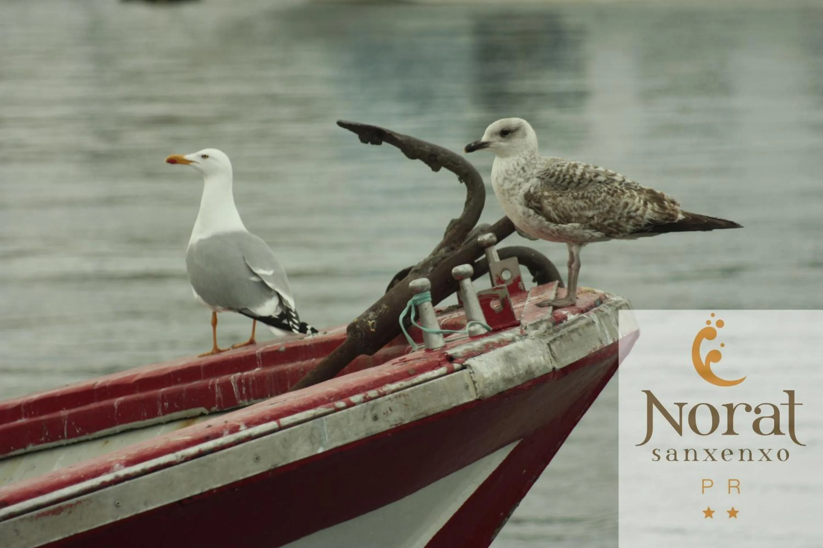 Other in Nuevo Norat Sanxenxo