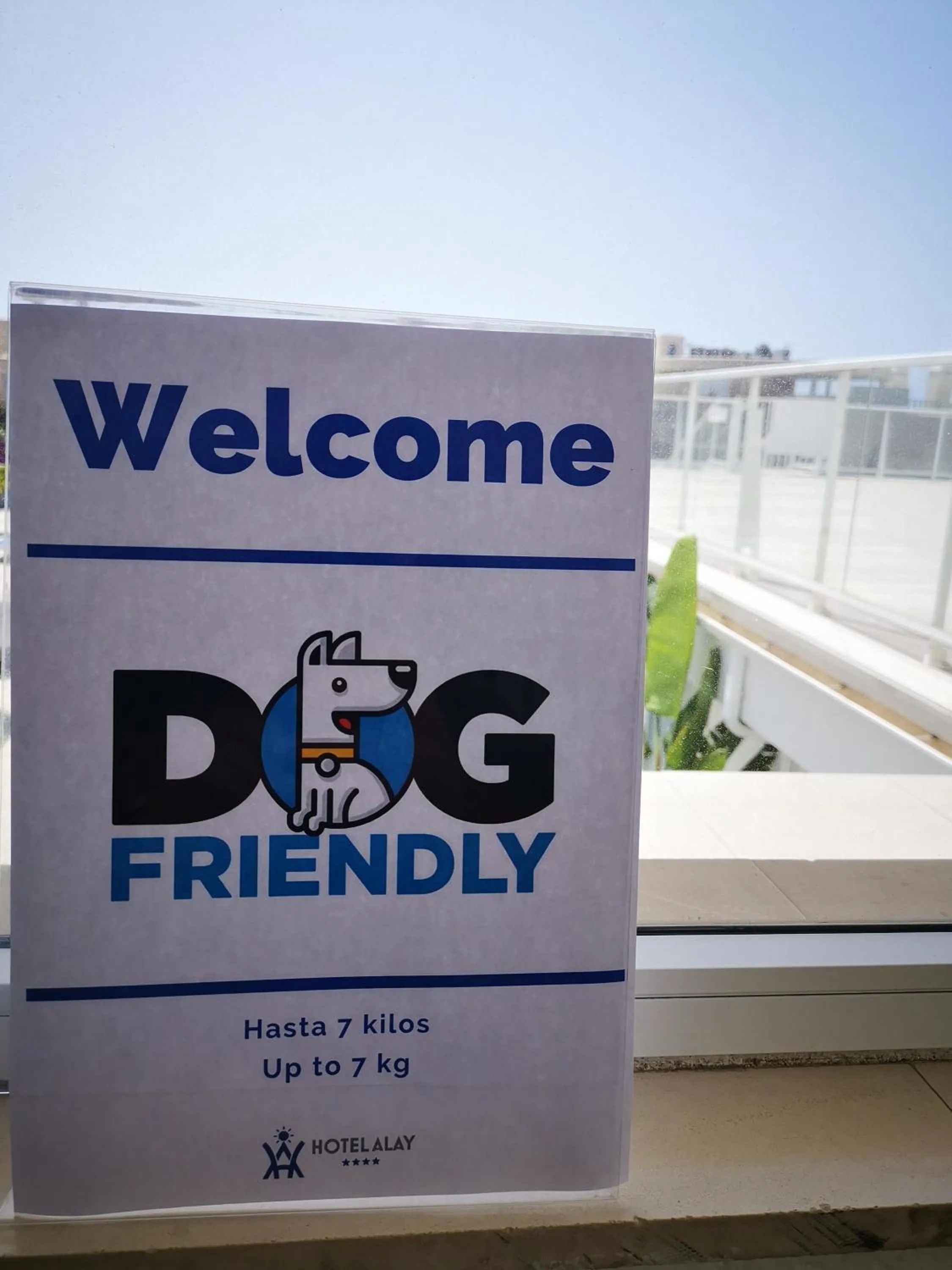 Pets in Hotel Alay - Adults Only Recommended