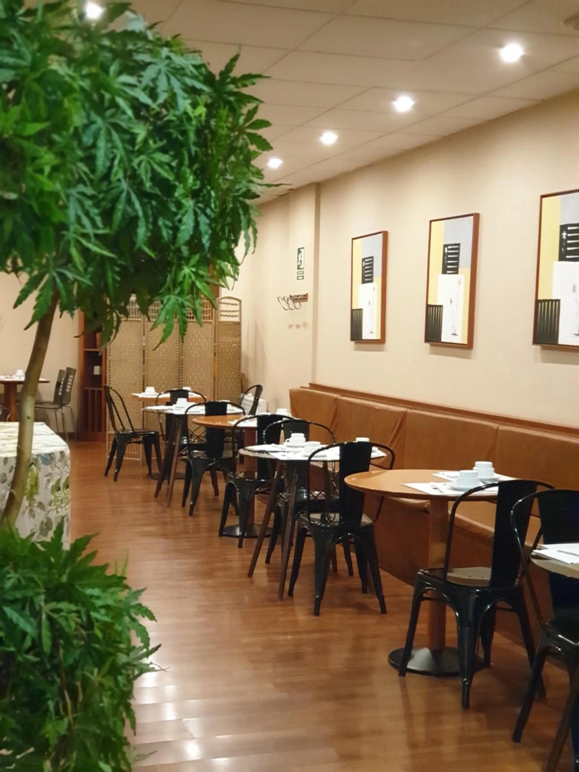 Food and drinks in Hotel Suite Camarena